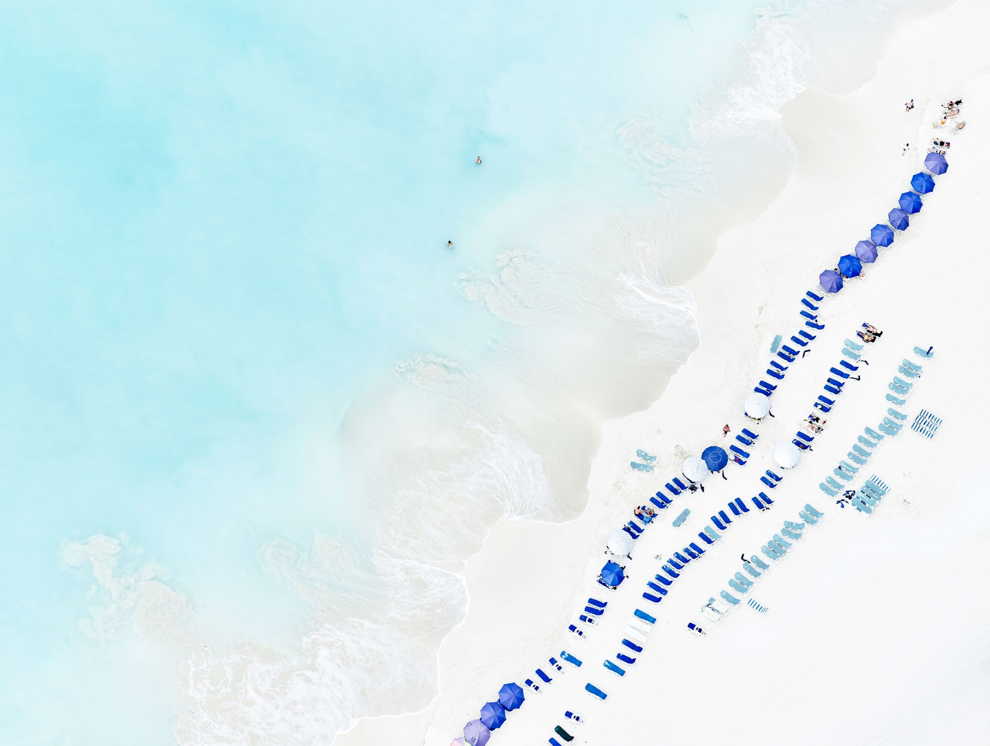 Lightly Loving It All, 2023 30 x 40 in., Ed. 7 & 3 AP 43 x 57 in., Ed. 7 & 3 AP 58 x 77 in., Ed. 7 & 3 AP 70 x 93 in., Ed. 4