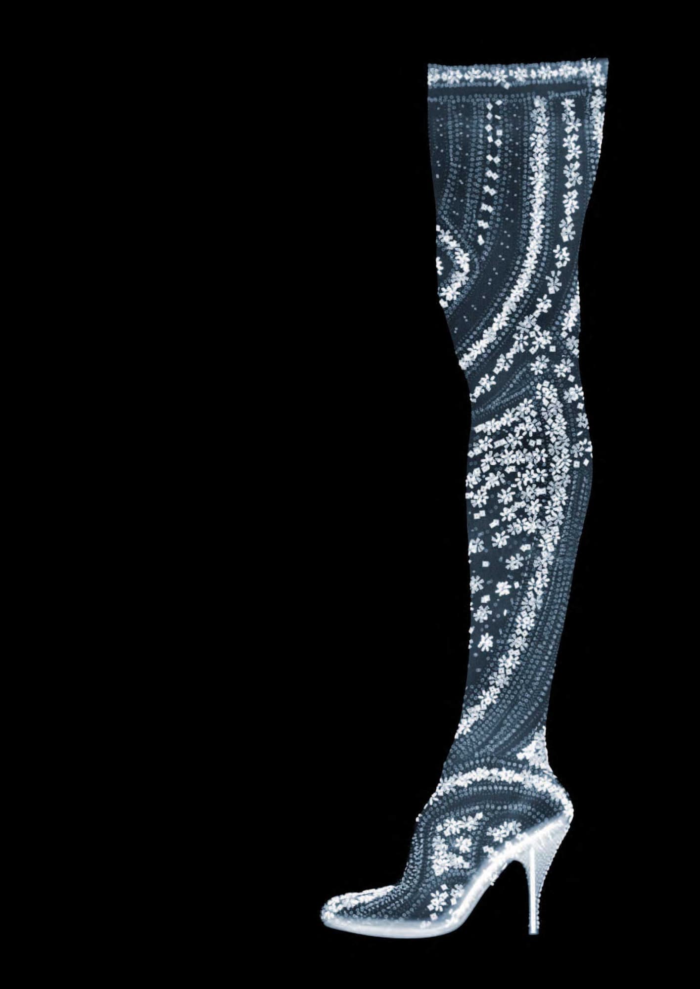 Alexander McQueen Stocking Shoe, 2011 33 x 23 in., Ed. 25 47 x 33 in., Ed. 5