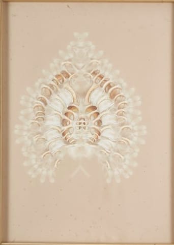 Rohini Devasher ,1978 Chrysallis A, 2011