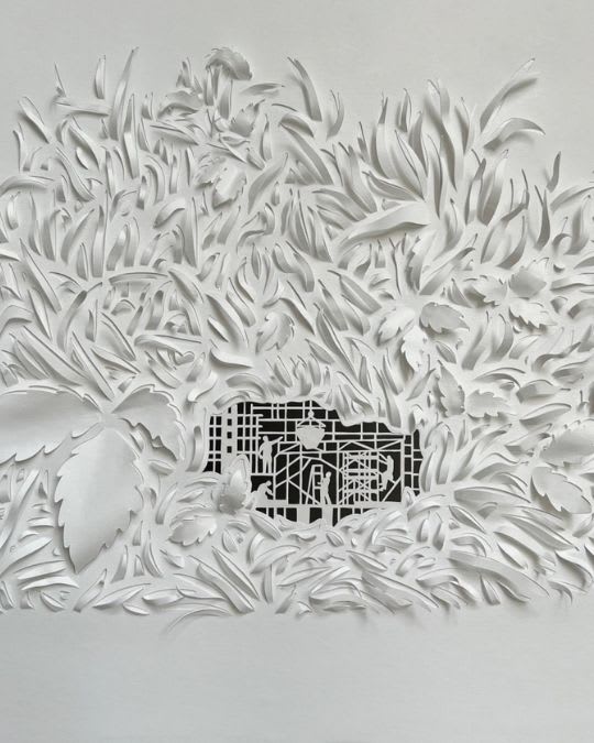 Drifting in an Elysian Haze