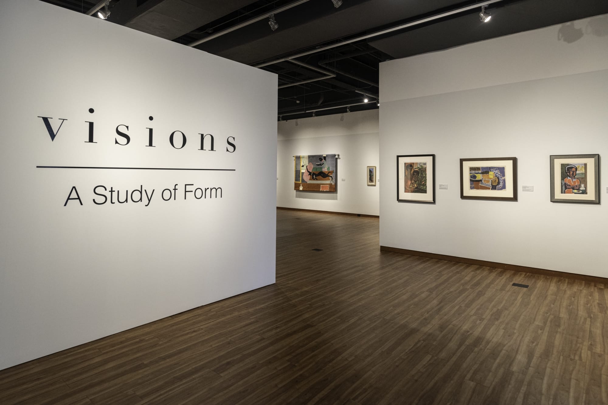 Visions: A Study of Form
