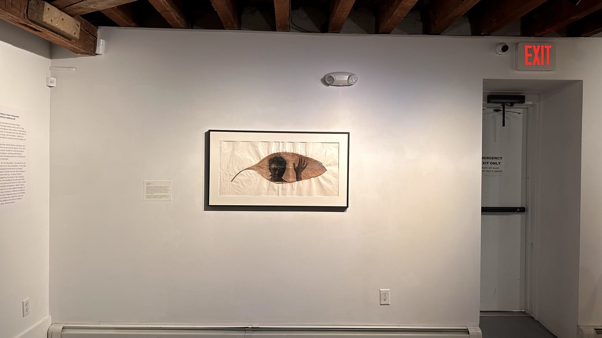 Selections from The Petrucci Family Foundation Collection of African American Art