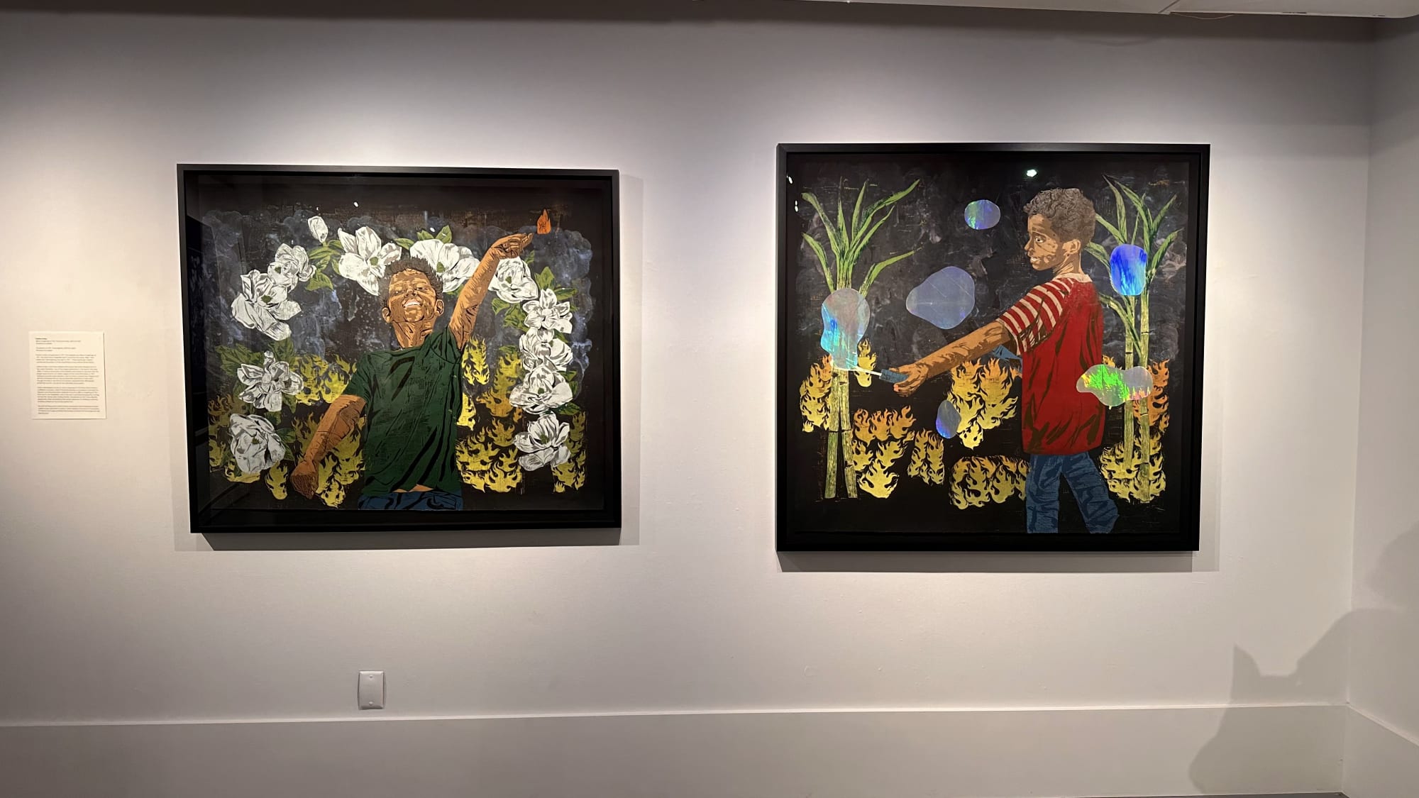 Selections from The Petrucci Family Foundation Collection of African American Art