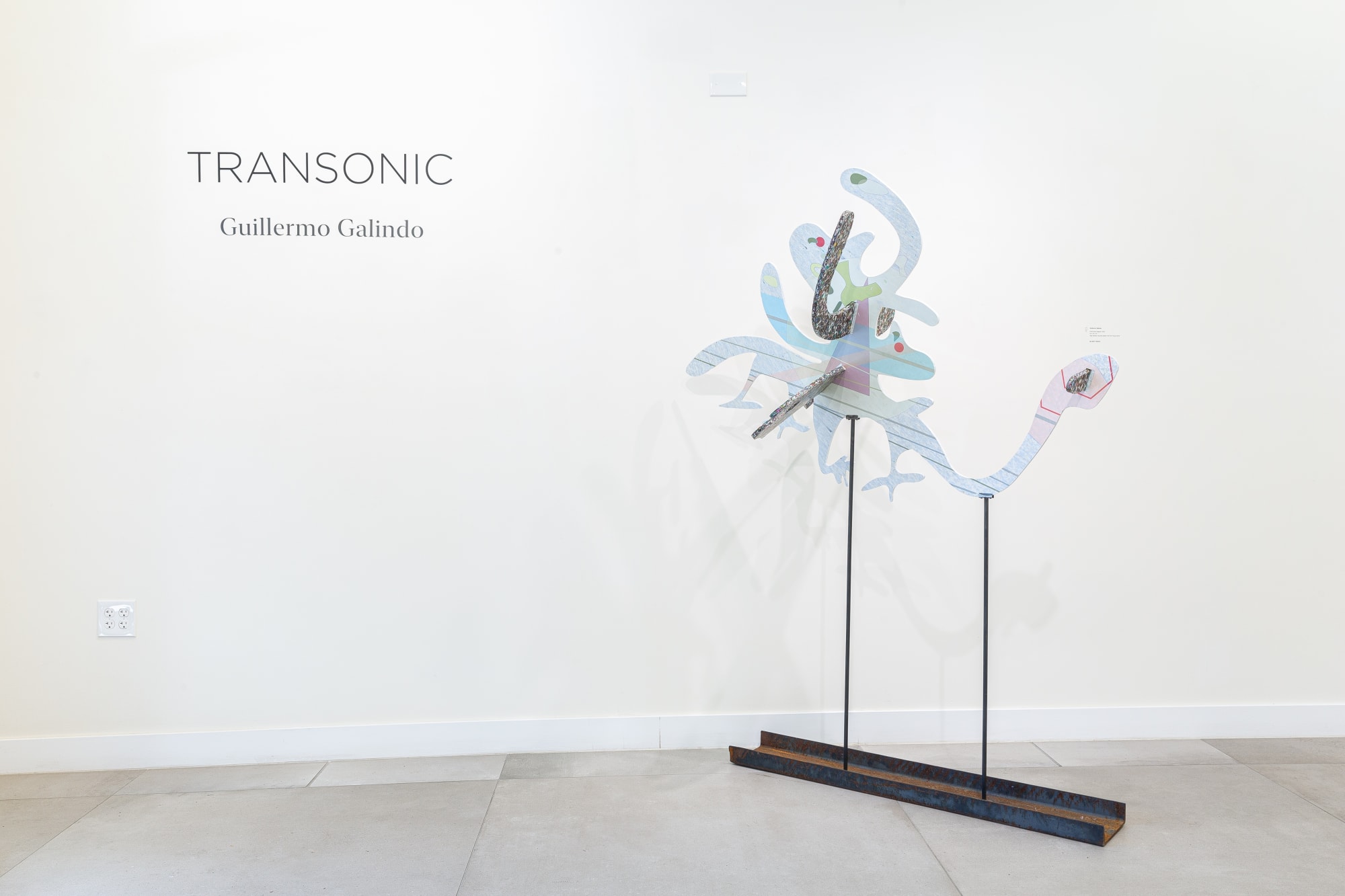 Transonic