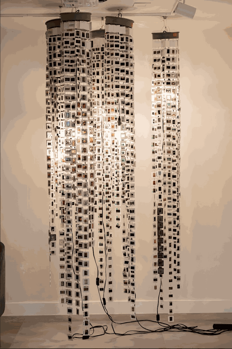 Catastrophic Beauty: Art in the Age of the Anthropocene