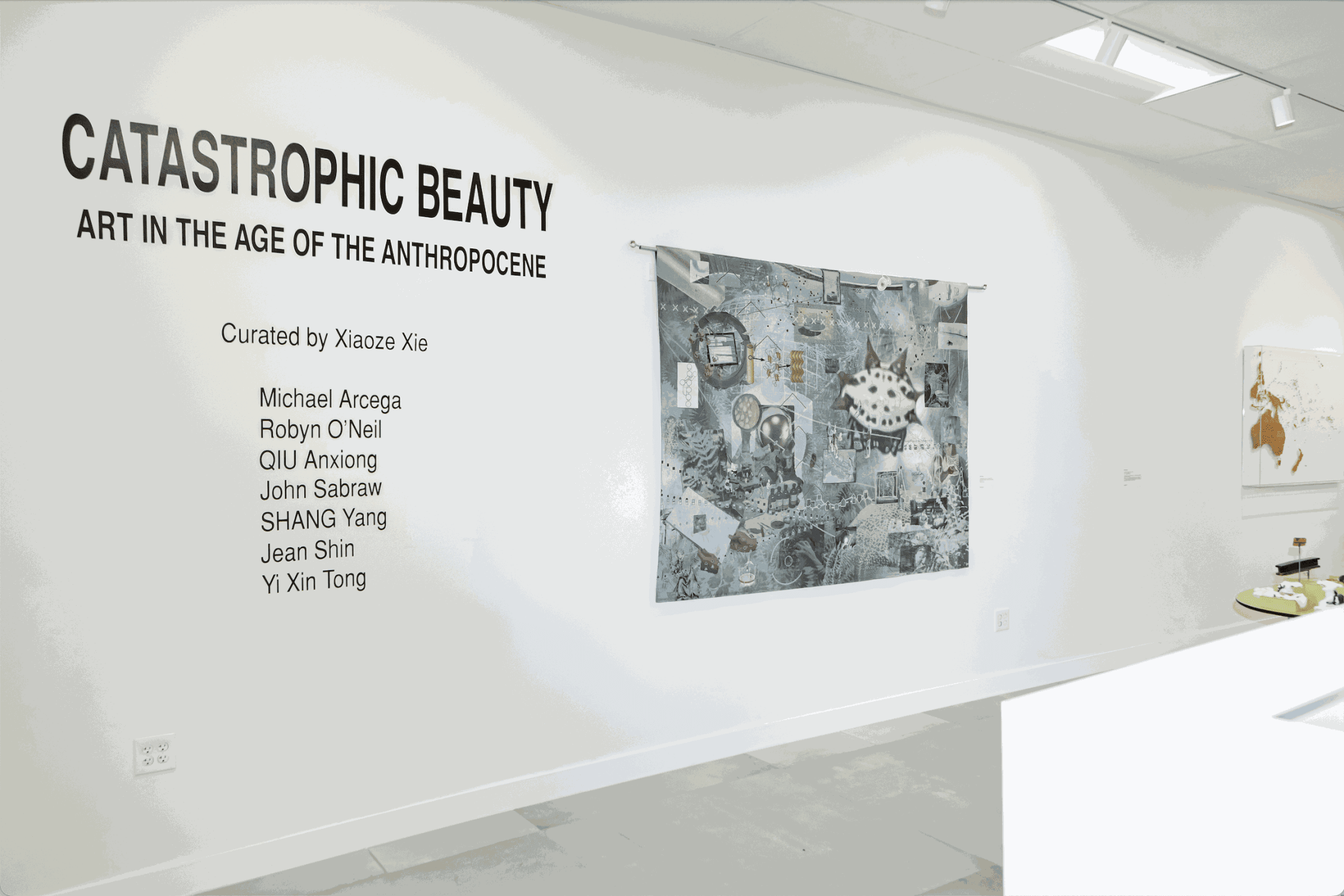 Catastrophic Beauty: Art in the Age of the Anthropocene