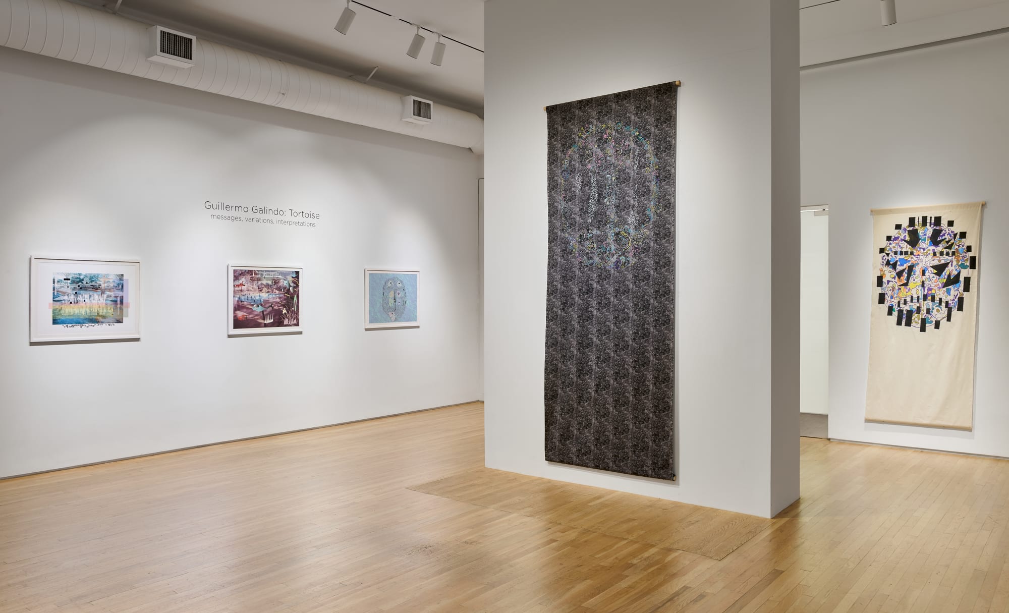 Guillermo Galindo: Tortoise