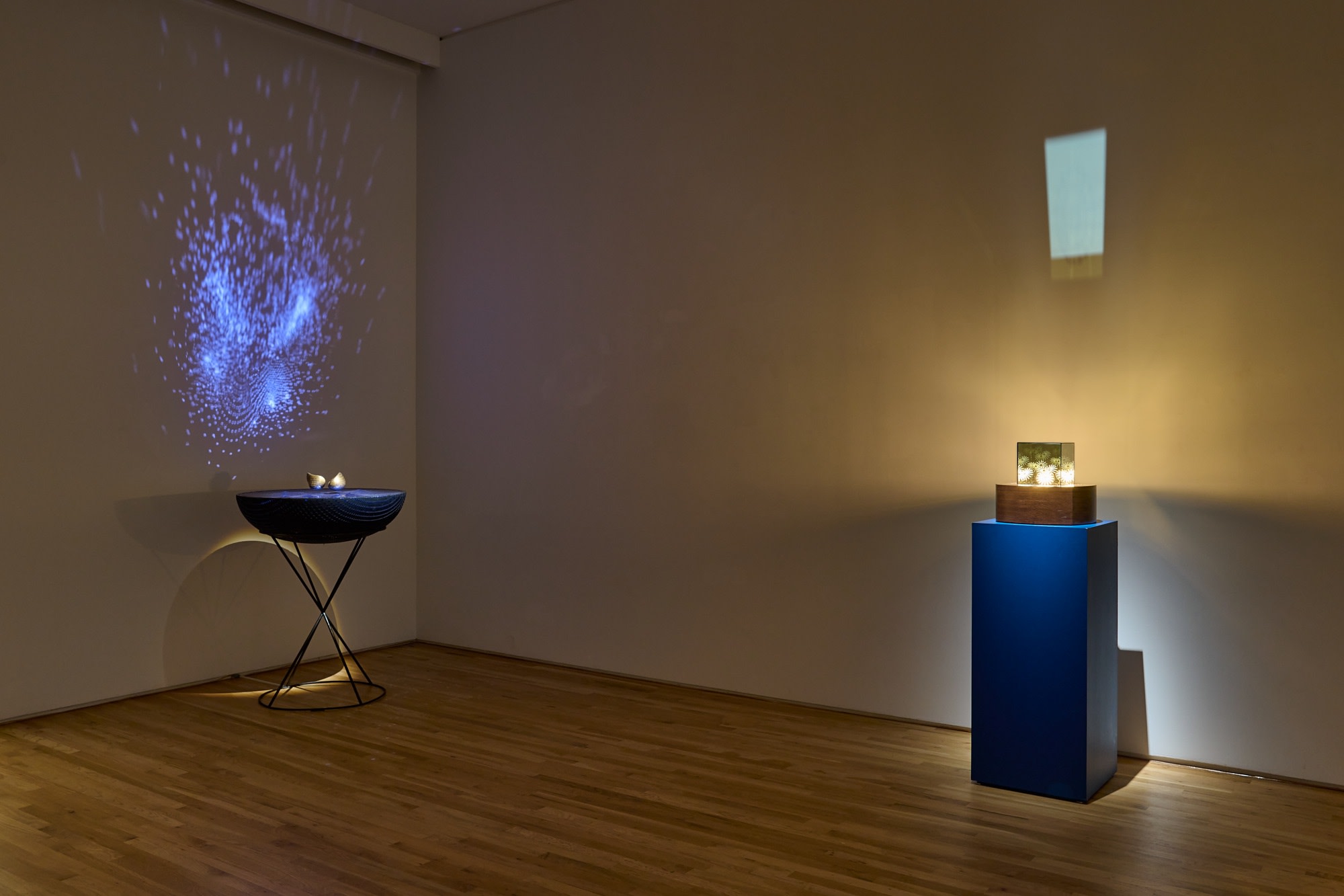 Nick Dong: Auspicious