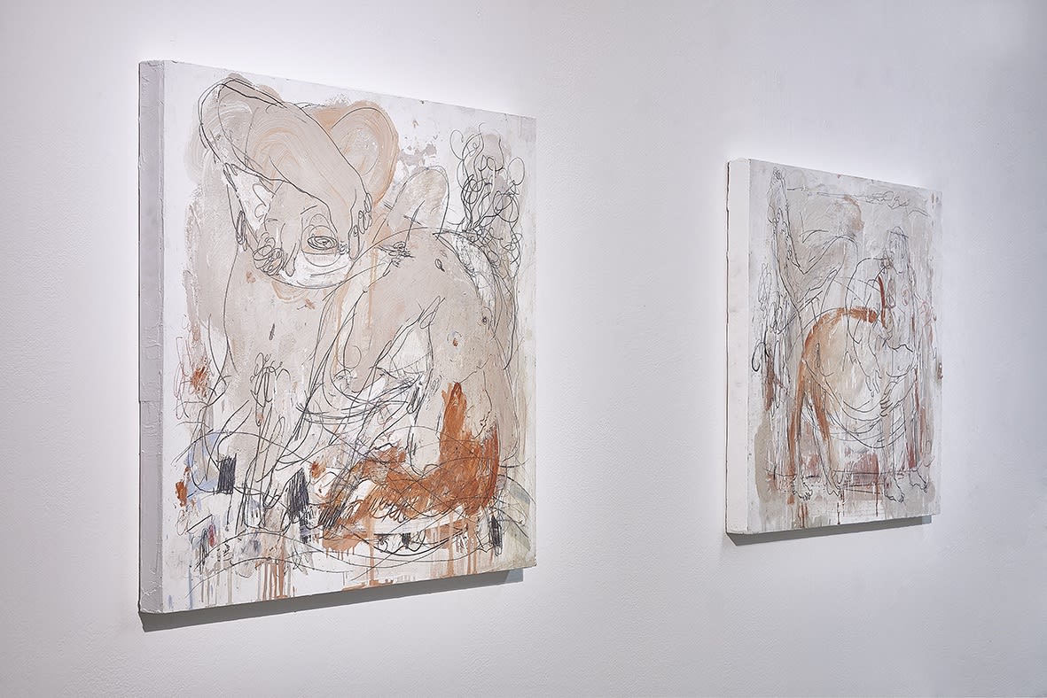 The Tragedy of Acis and Galatea by a Danny Avidan Installation view