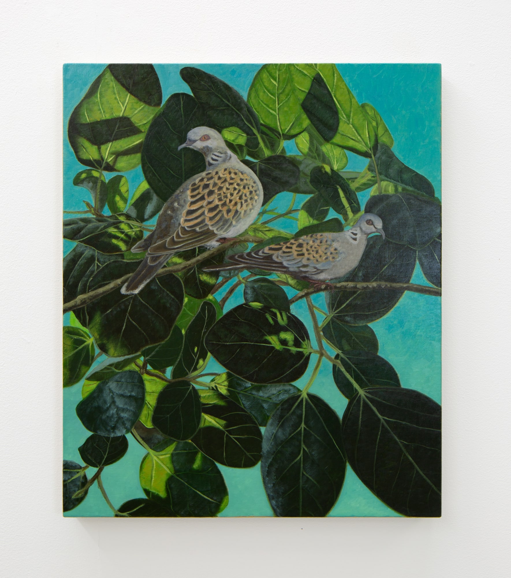 Alexander Skats, Pigeons, 2025