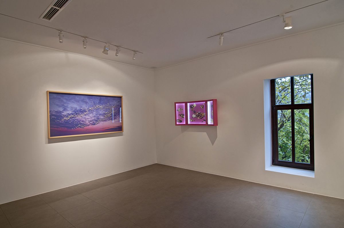 Mini Market of Happiness & Drugstore