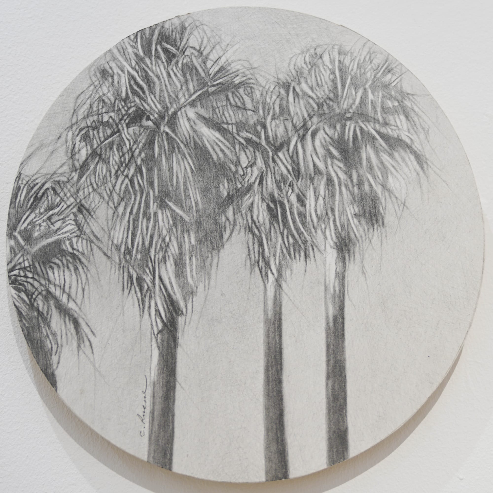 Nina K Ekman & Catherine Ruane : Guardians of the Desert