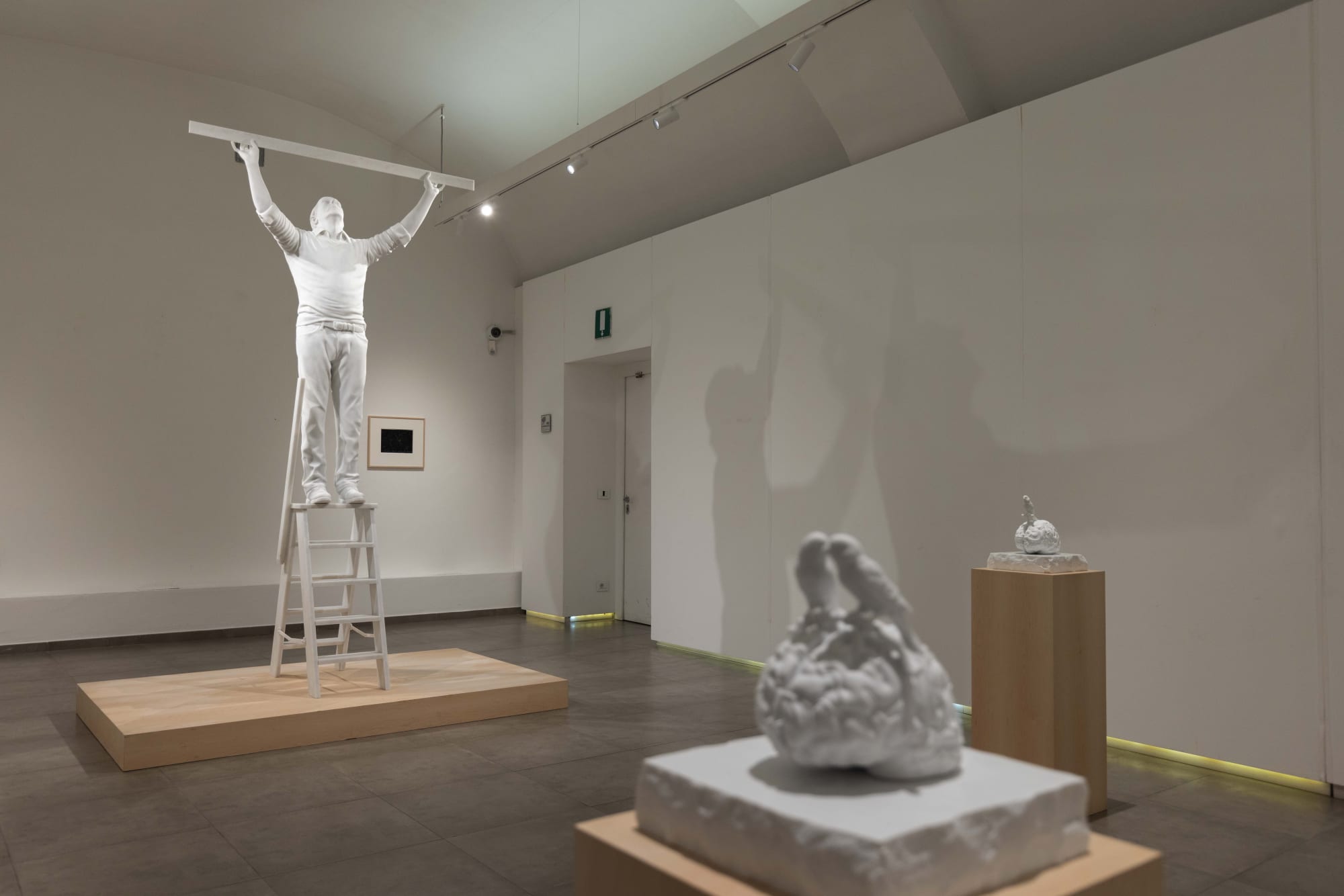 Jan Fabre - Songs of the Canaries - Songs of the Gypsies Installation View | Roma