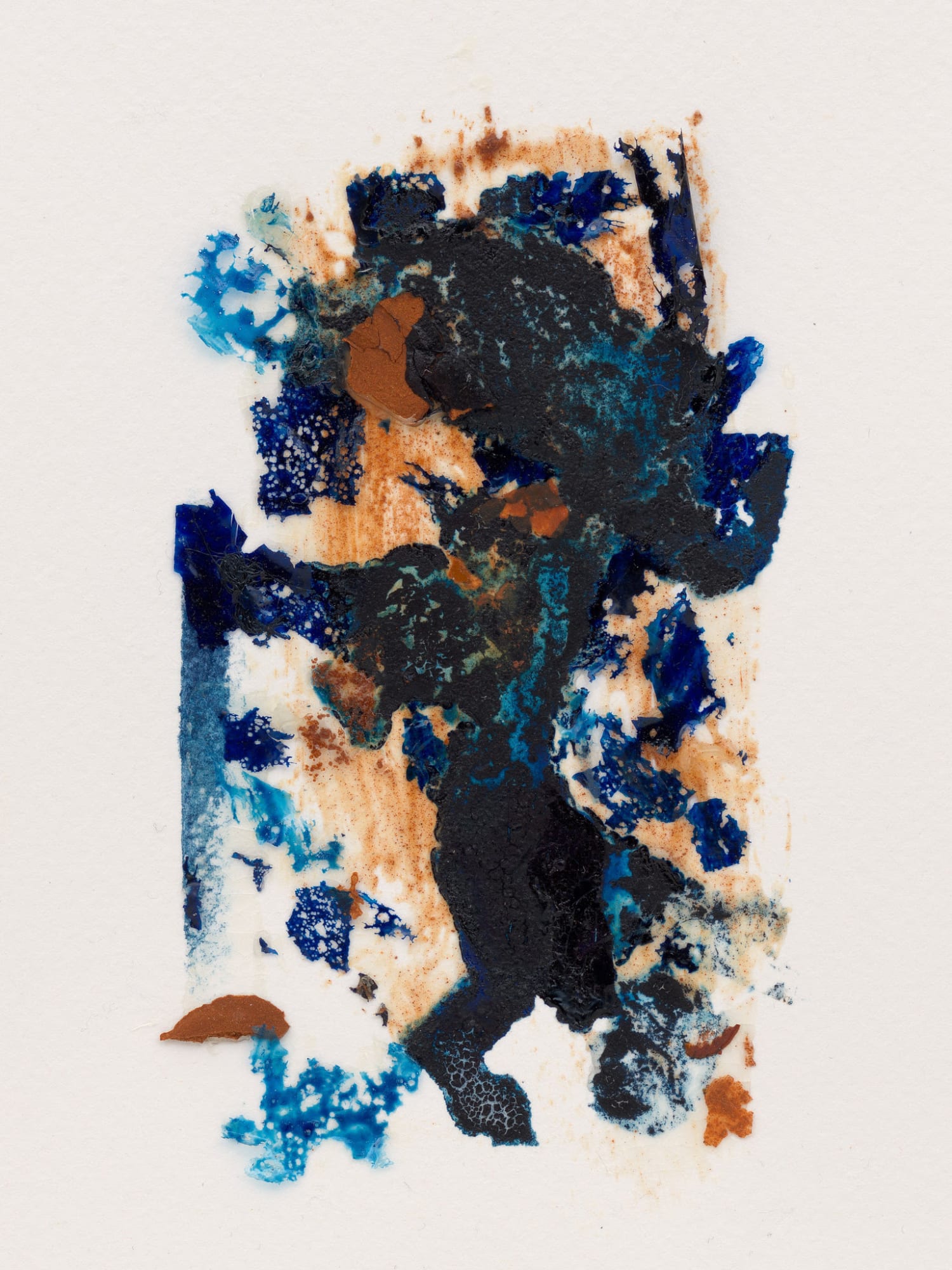 Amanda Williams: The reach to look ahead and smile (Nadia)