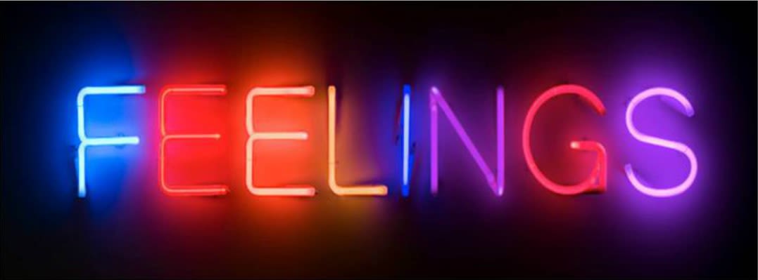 Martin Creed Work No. 895 FEELINGS, 2008 Multi-coloured neon 110 x 15 cm