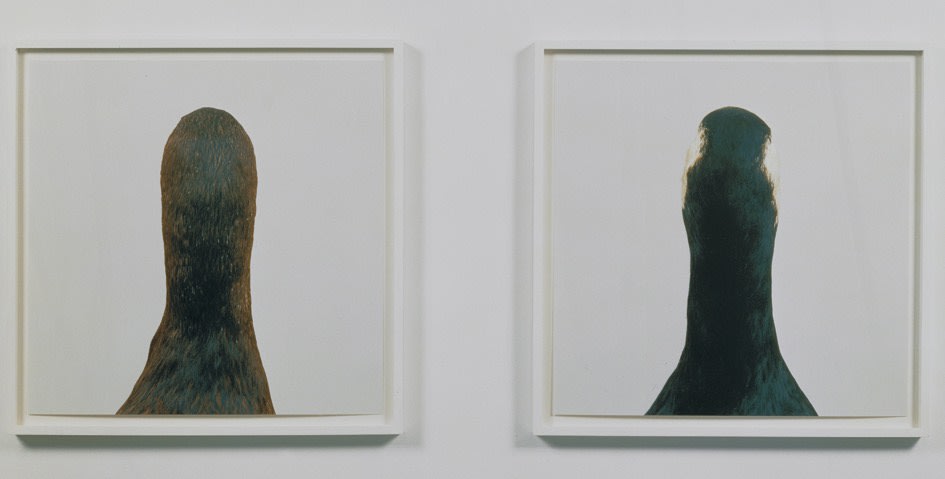 Roni Horn Unititled No. 10, Dyptich, 2000 2 iris-prints Each: 55.9 x 55.9 cm