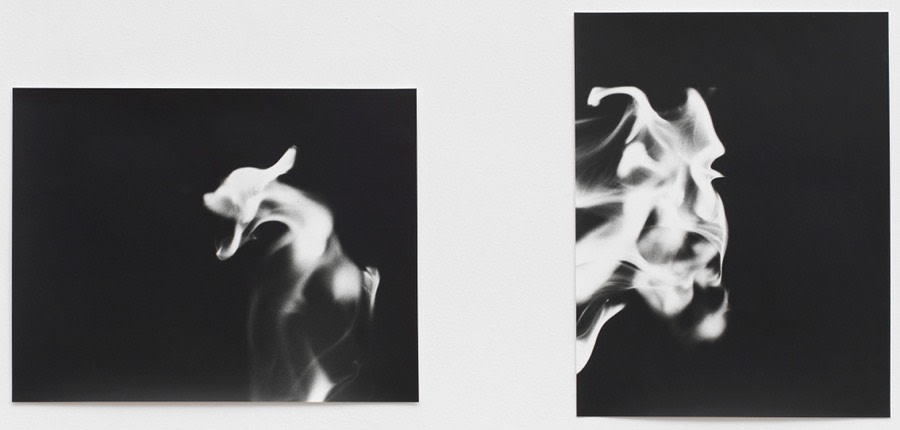 Jochen Lempert Flames (Japan), 2017 Silver gelatine print in 2 parts 31.4 x 40 cm & 40.4 x 31.4 cm