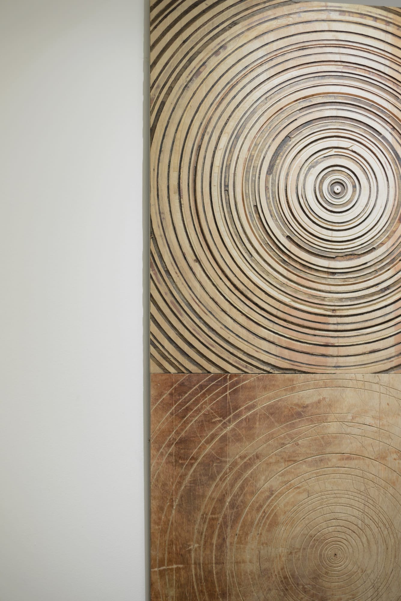 neither touches, neither leaves