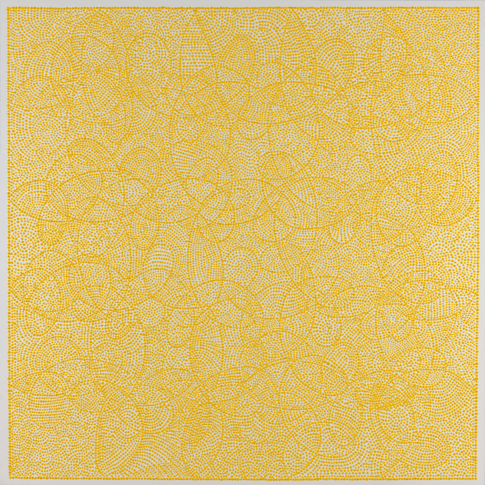 Yellow Spike - Jennifer Pinder