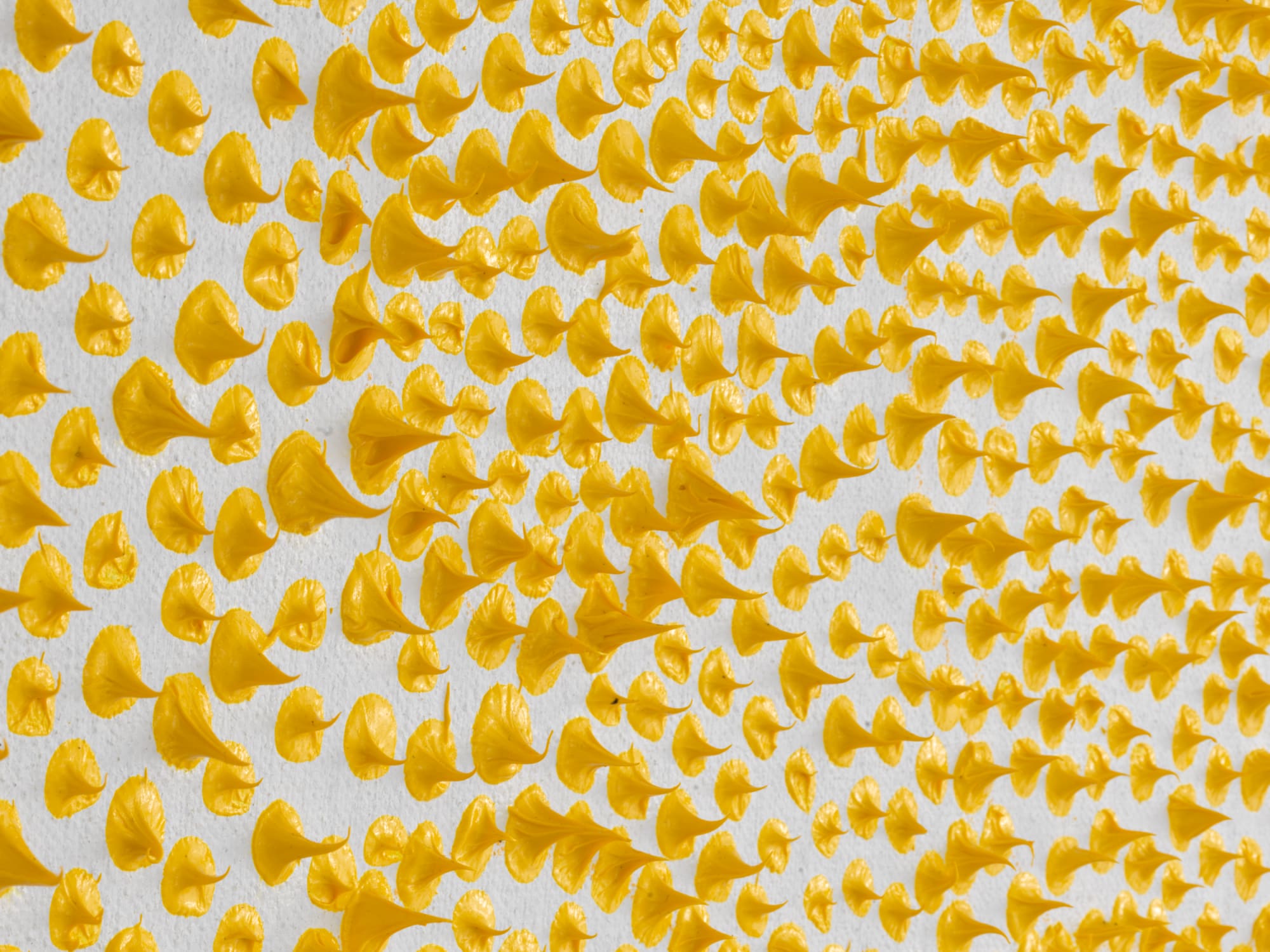 Yellow Spike - Jennifer Pinder