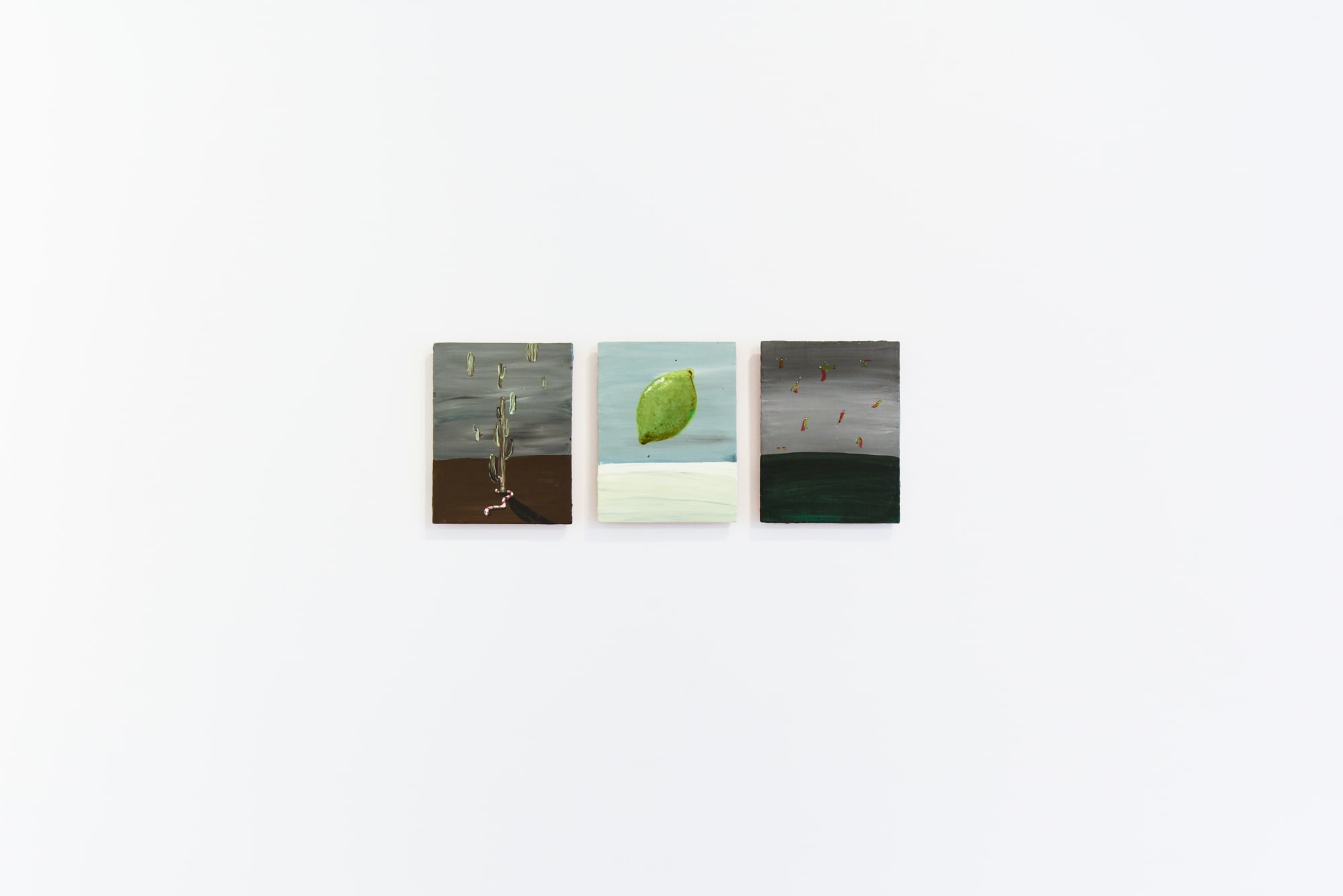 Installation view, Kai Matussik