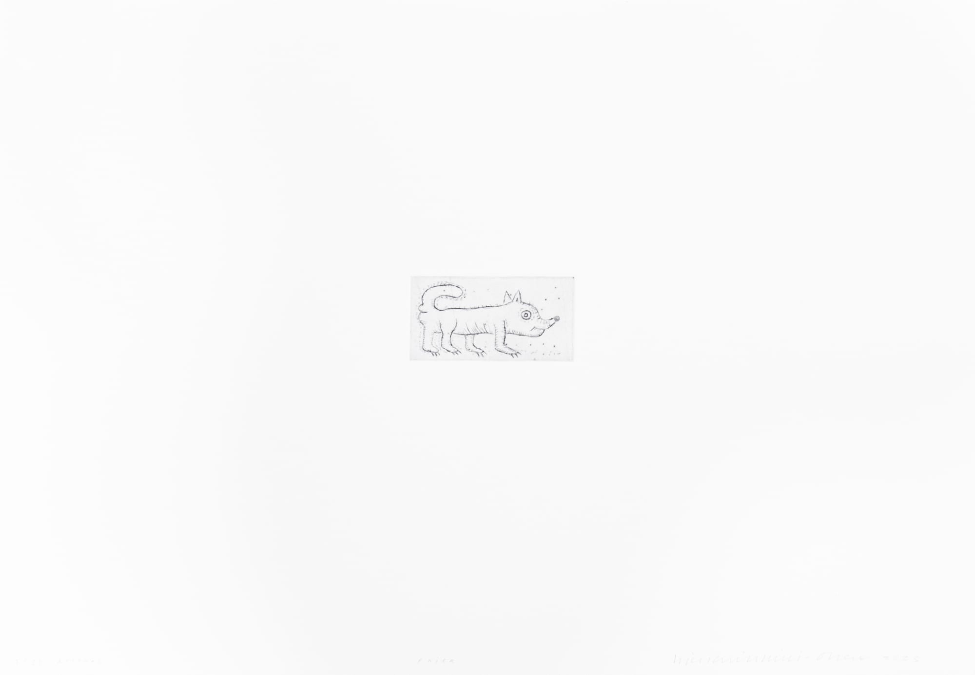 kjell erik killi-olsen, Frier, 2023