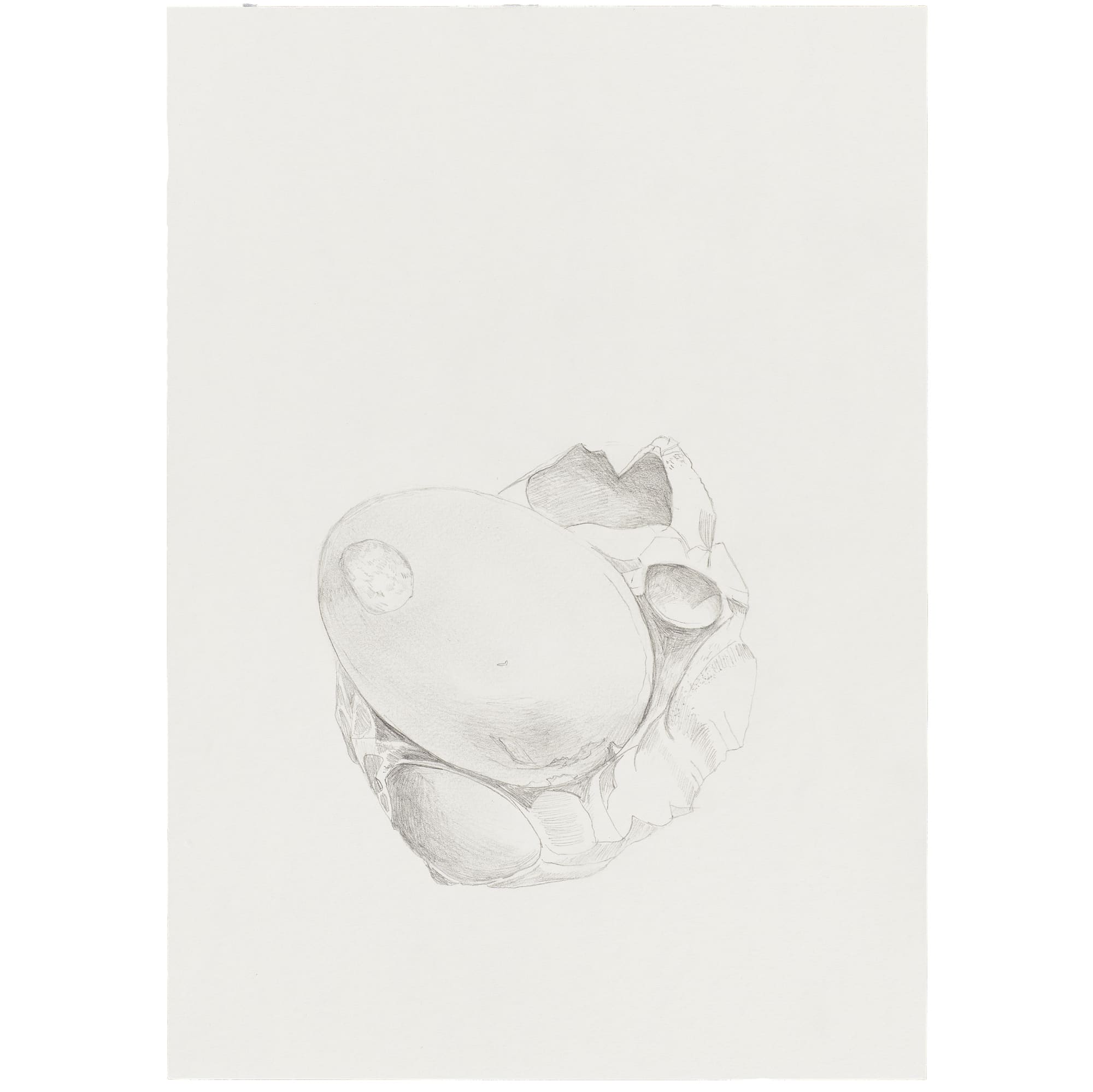 Margalef, 2024 Graphite on paper 29,7 x 21 cm