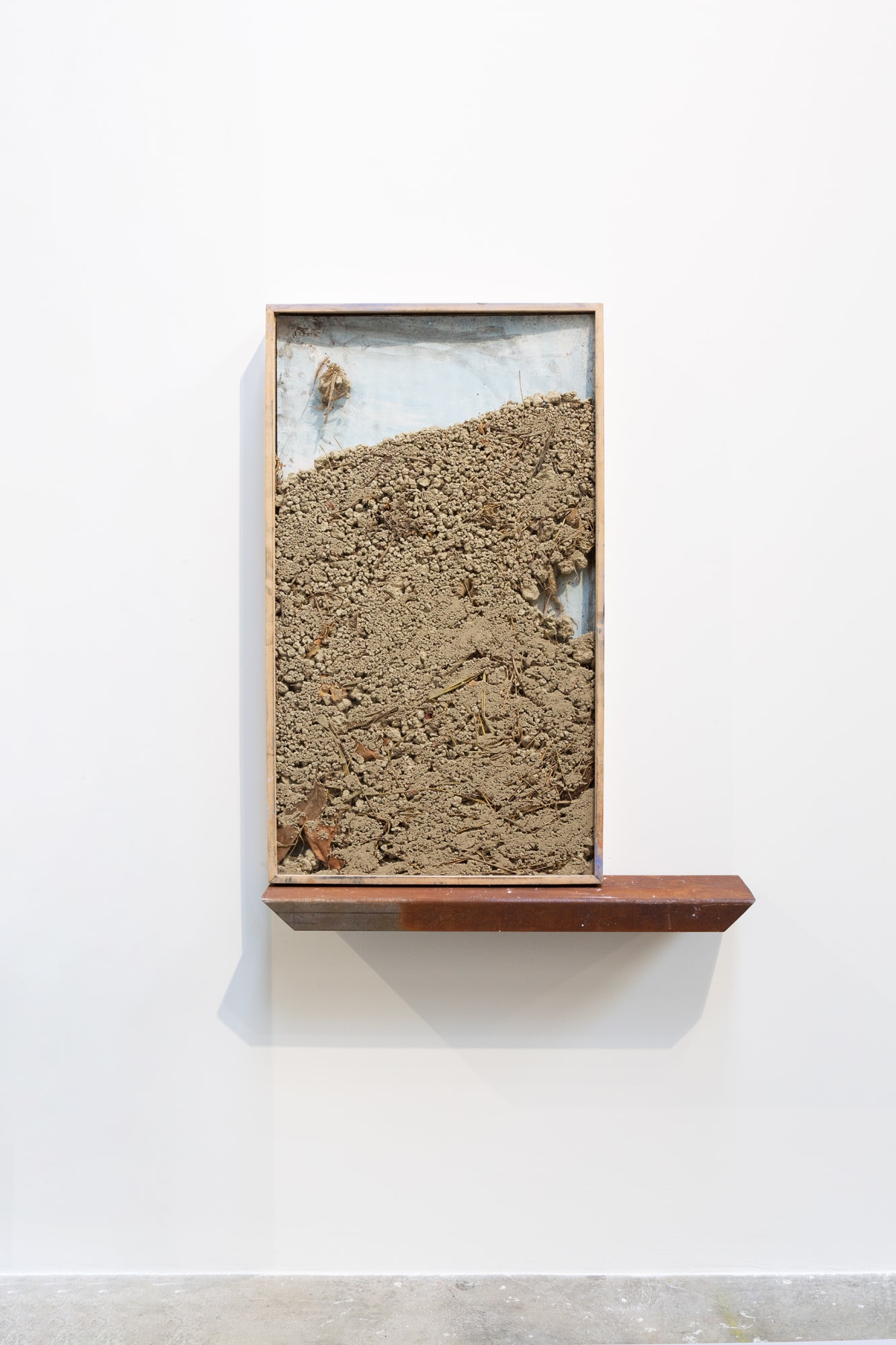 Alzarono gli occhi e avvertirono il cielo