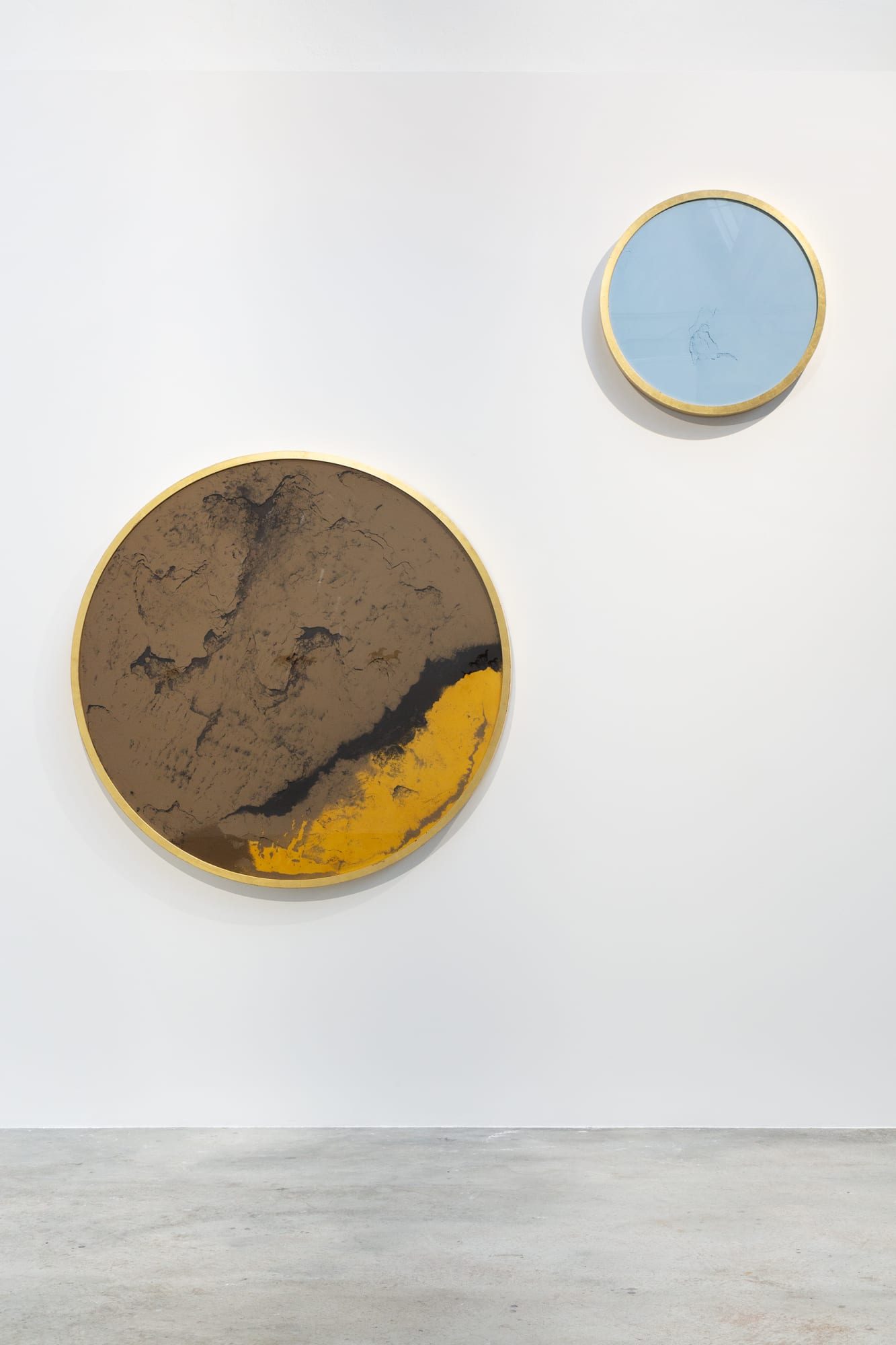 E talmente anima, che non è anima