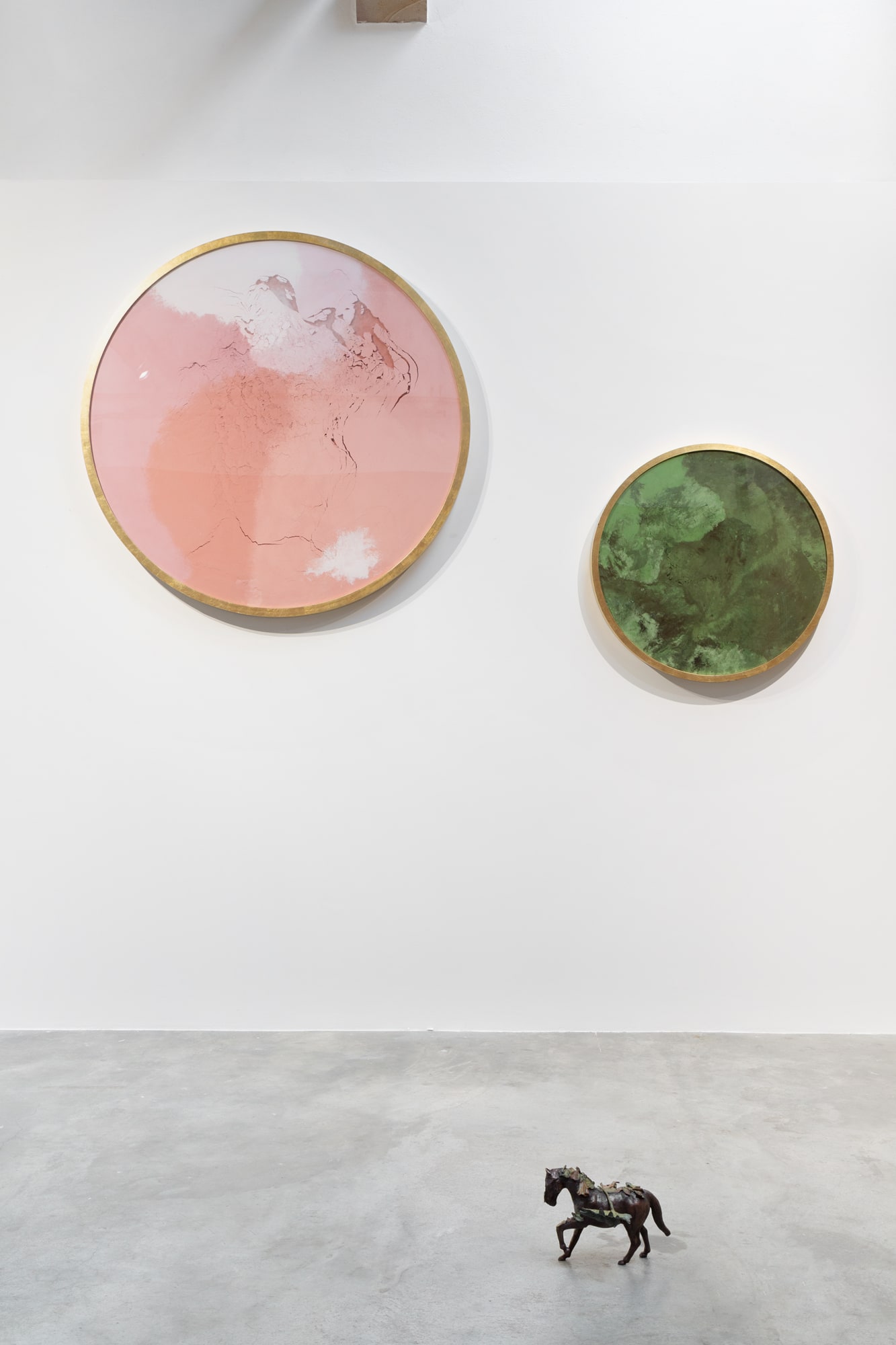 E talmente anima, che non è anima