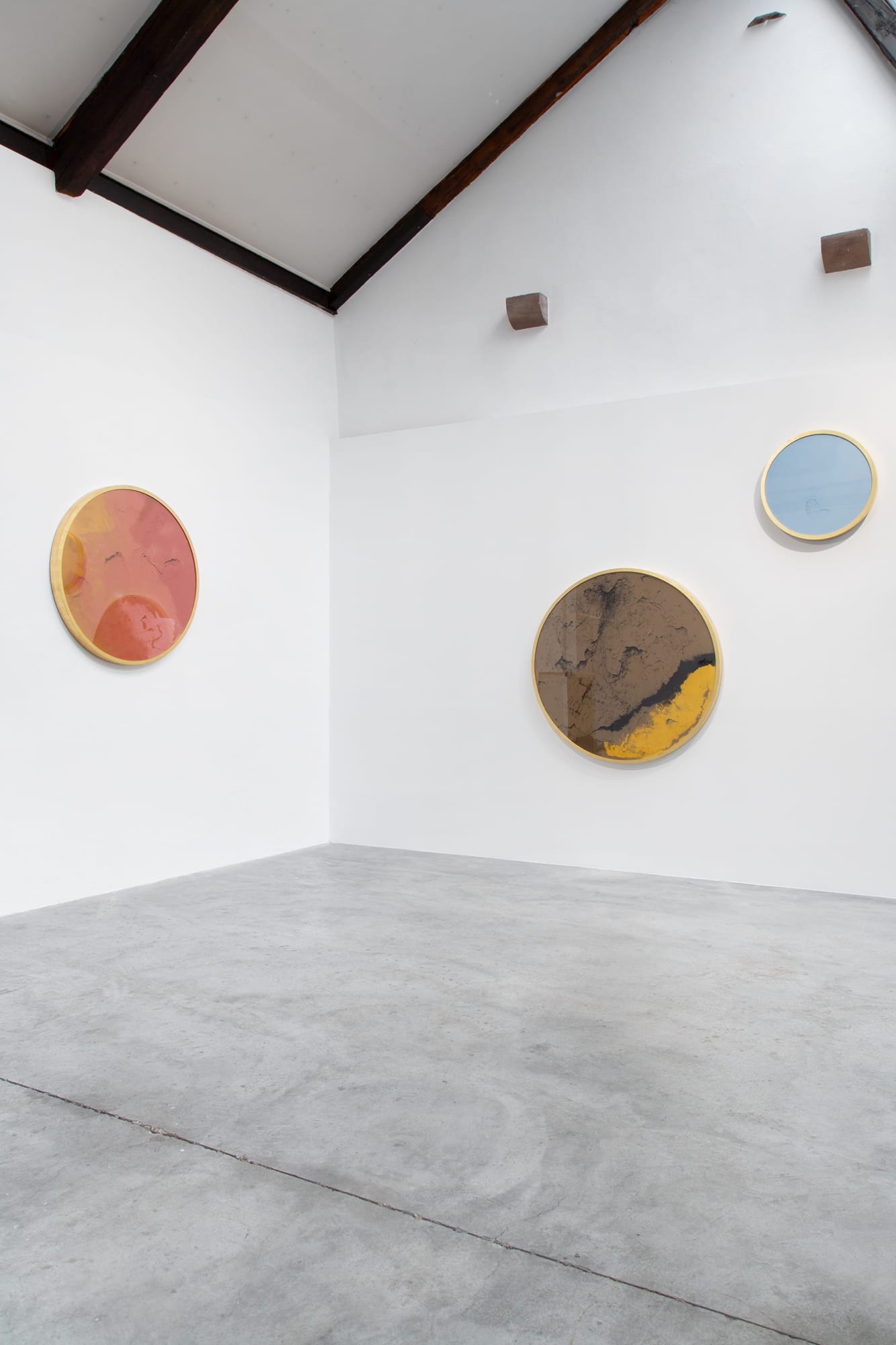 E talmente anima, che non è anima