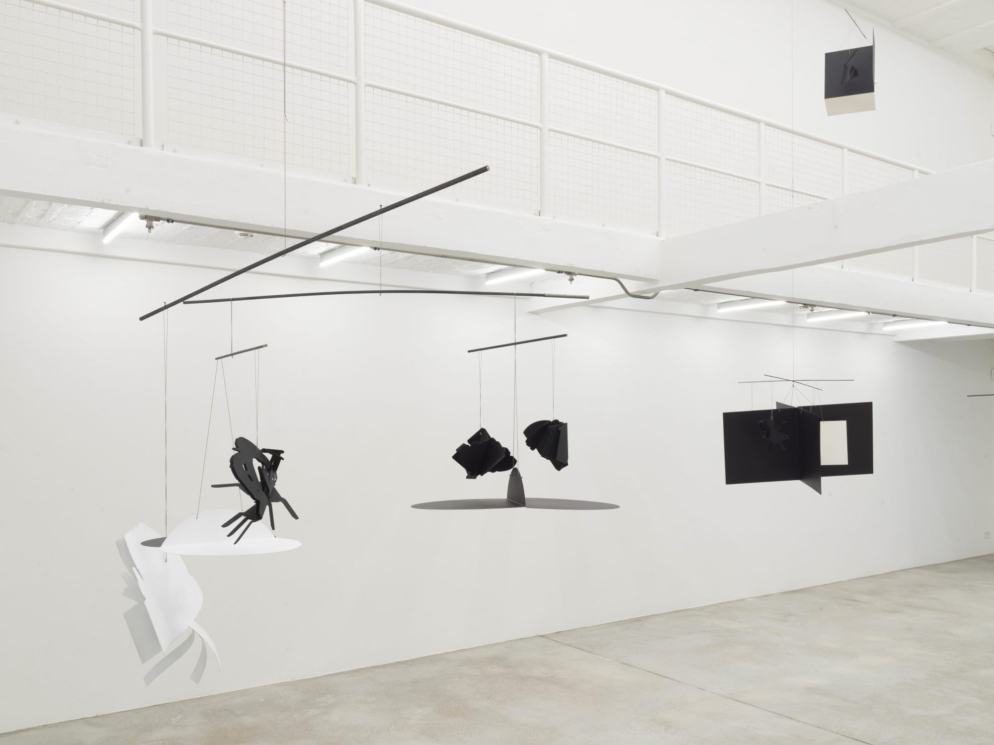 Harald Klingelhöller