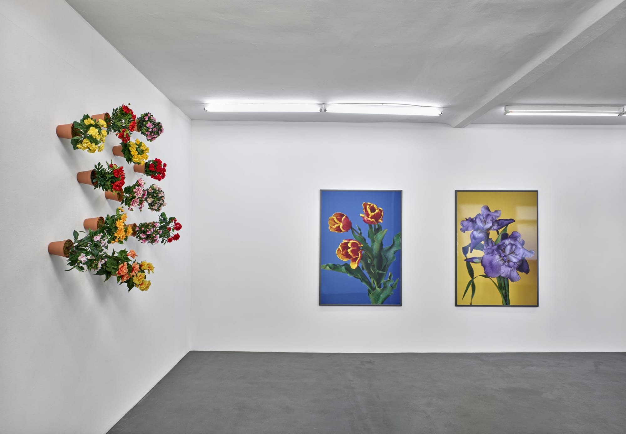 HANS-PETER FELDMANN - THOMAS RUFF - JUERGEN STAACK