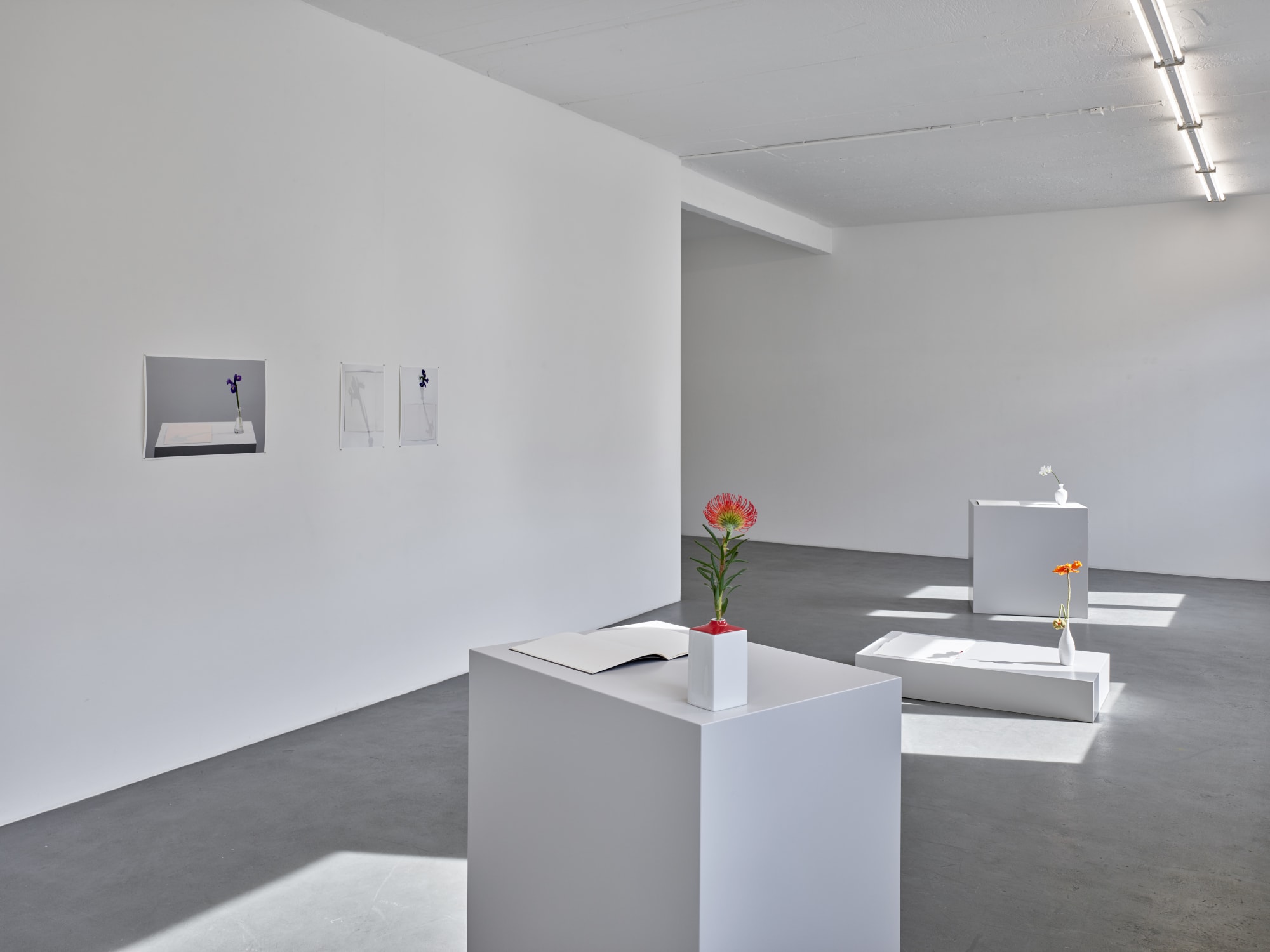 HANS-PETER FELDMANN - THOMAS RUFF - JUERGEN STAACK