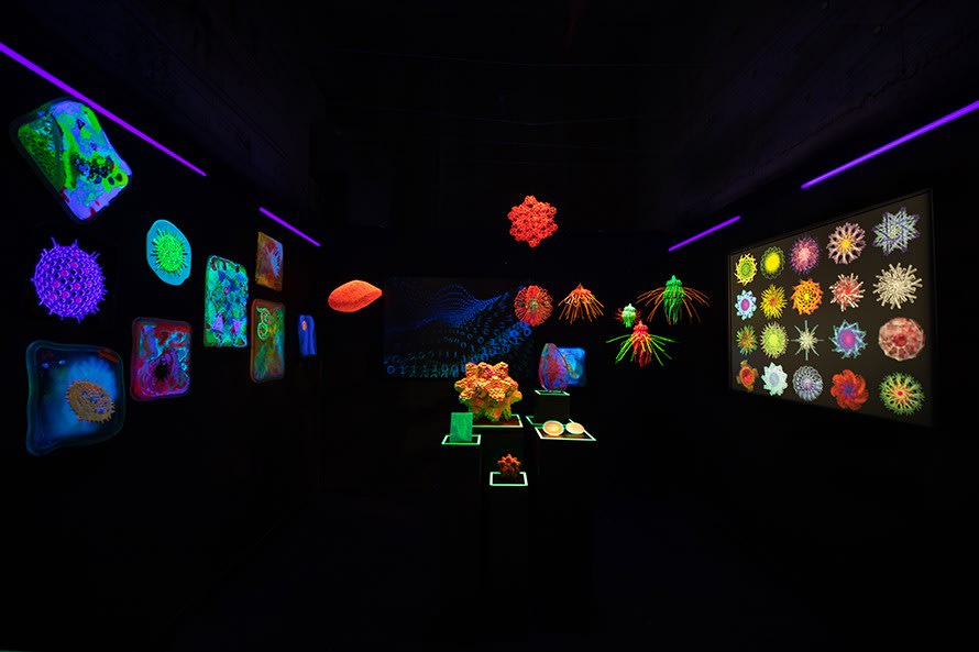 Firstname Lastname, Title, 2019 Installation view