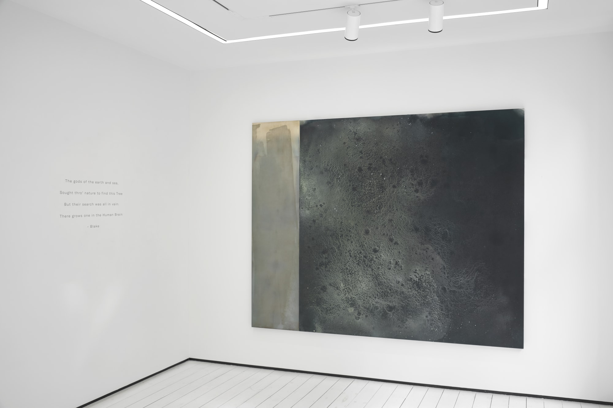 The forest the flood the sky