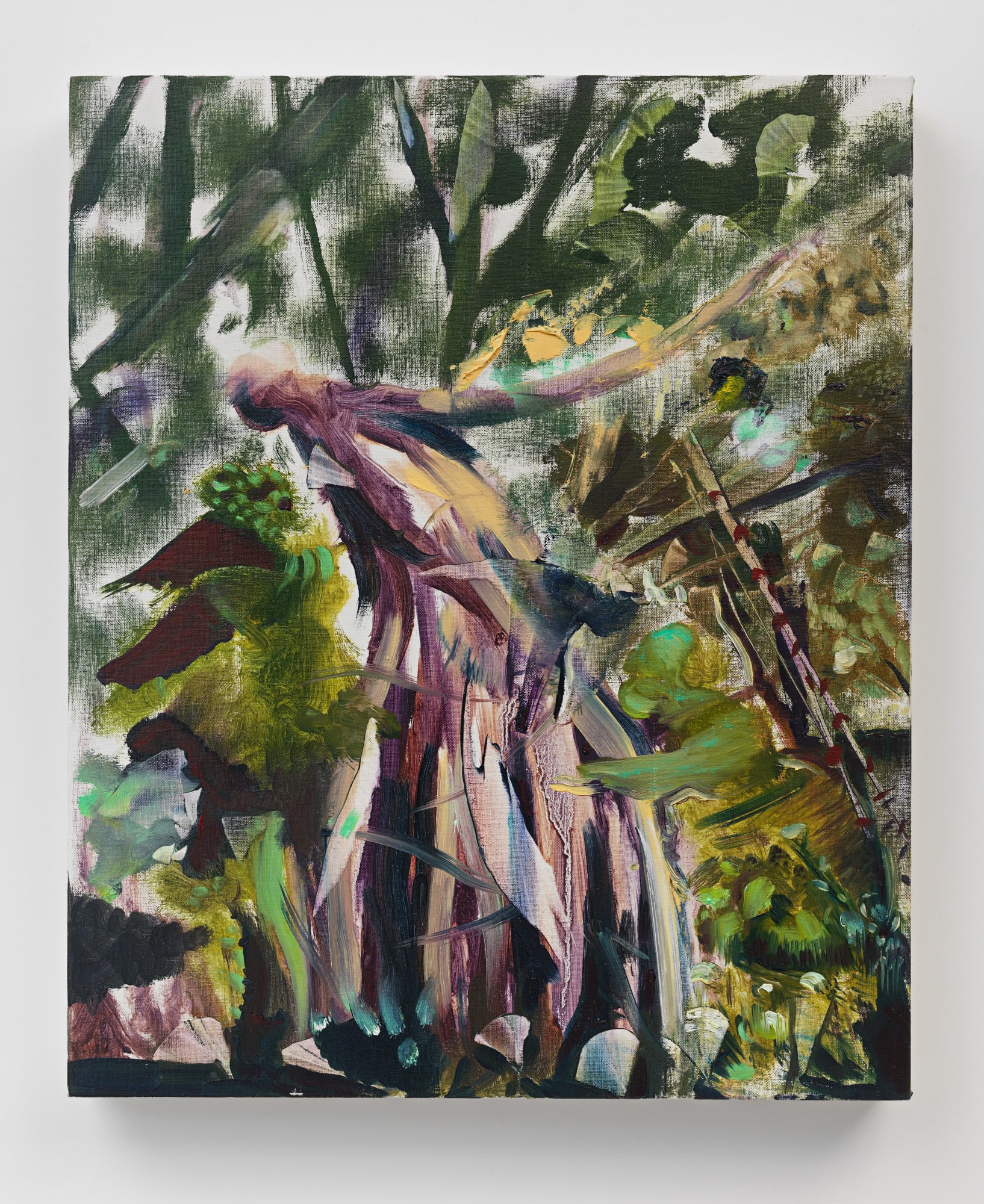 ALI BANISADR Sky Woman, 2025 oil on linen 17 x 14 inches 43.2 x 35.6 cm