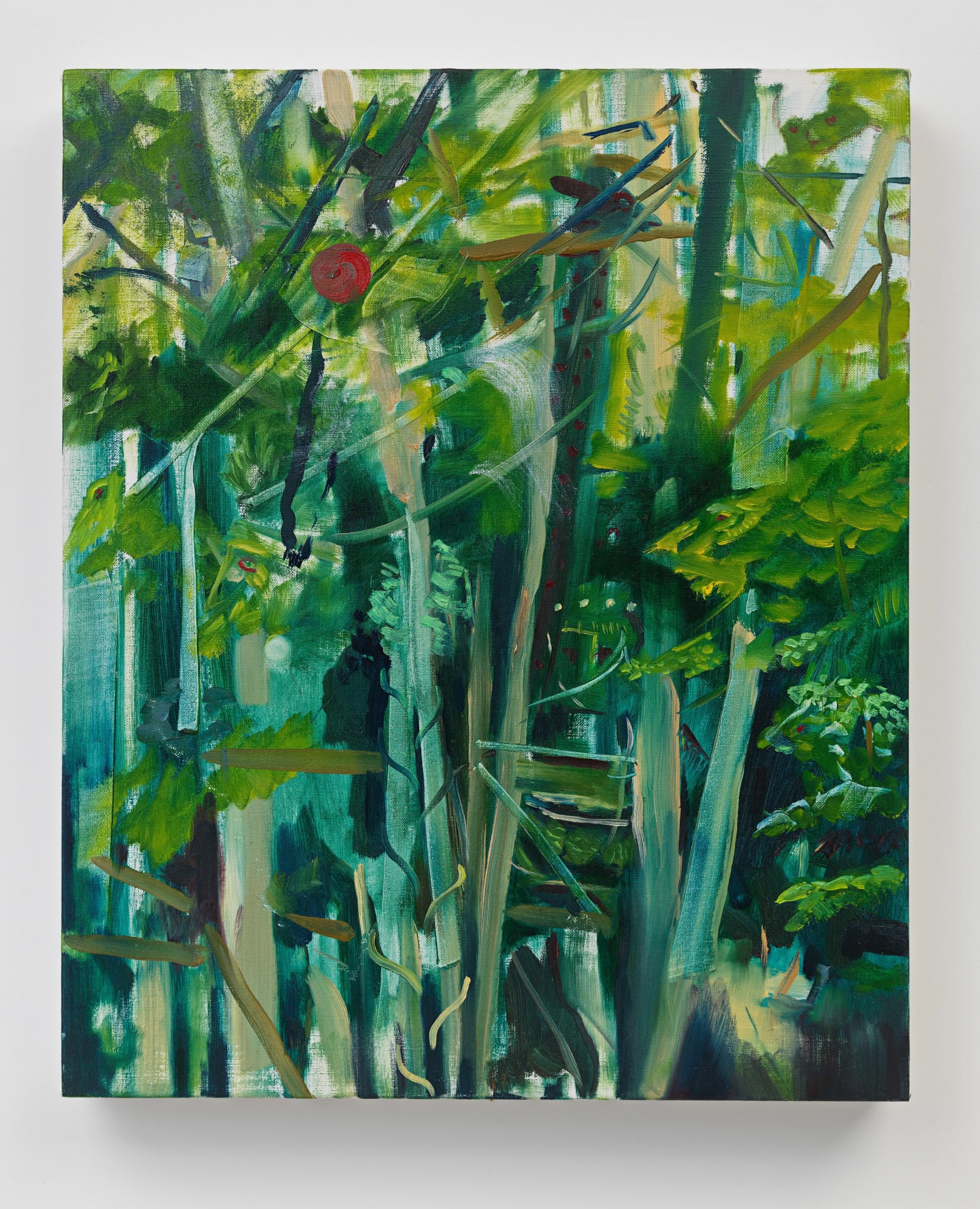 ALI BANISADR Blood Meridian, 2025 oil on linen 17 x 14 inches 43.2 x 35.6 cm