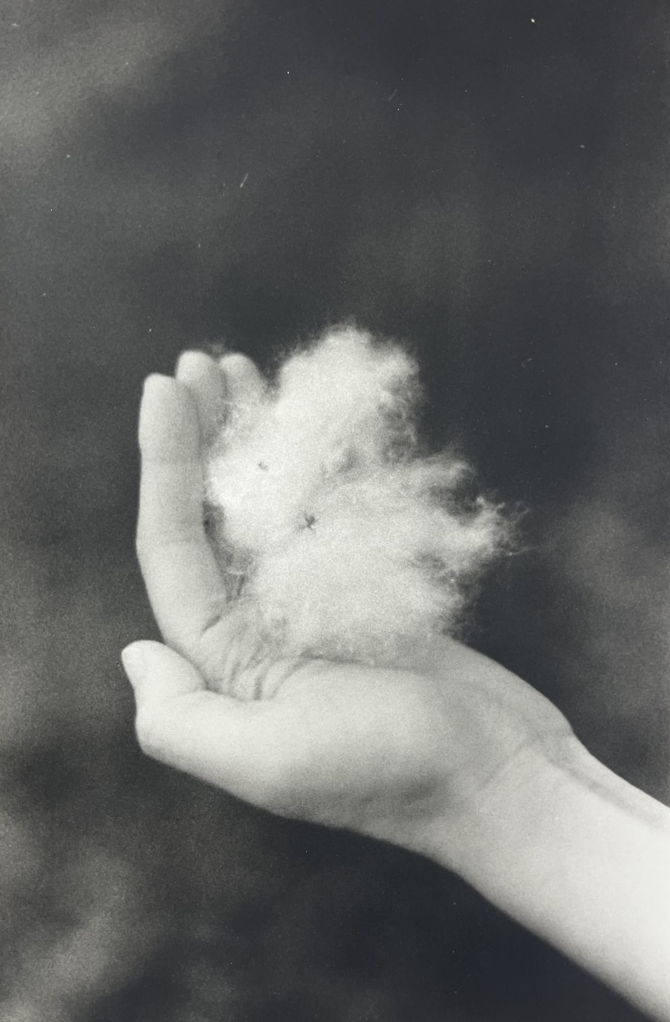 Viriya Chotpanyavisut