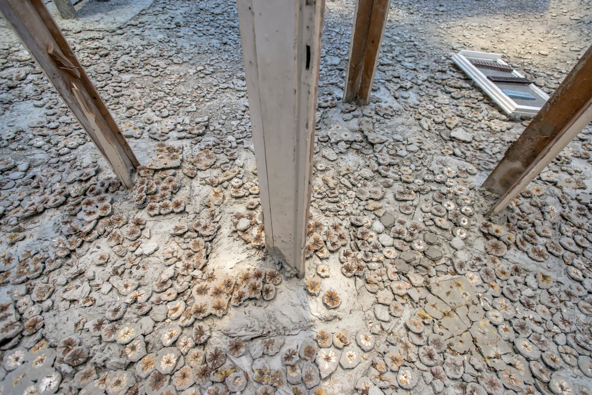 Constructing the House Anew