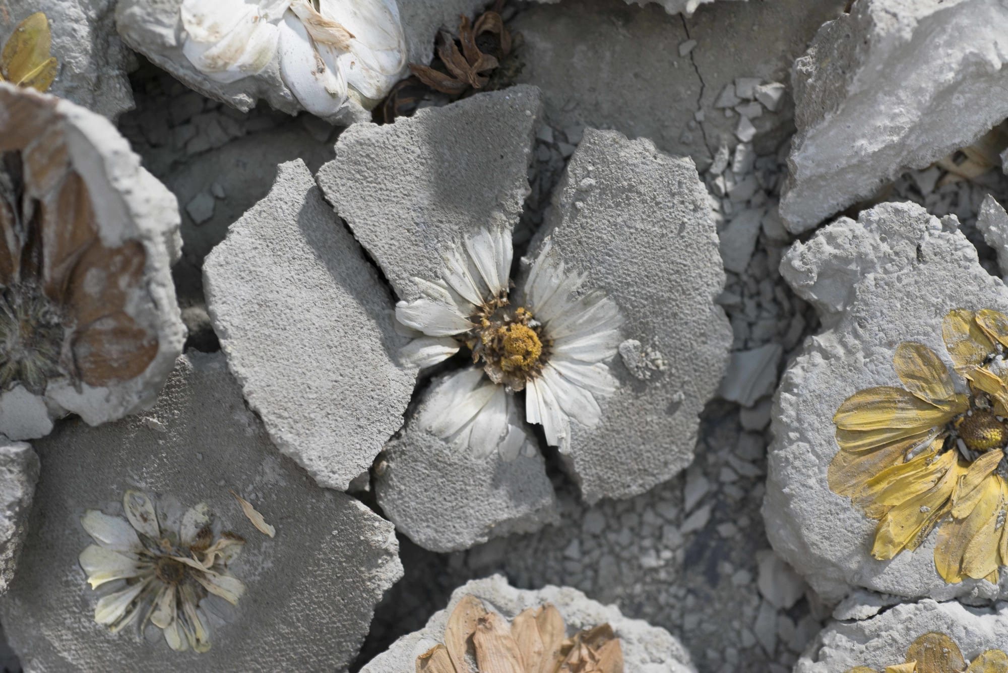 Constructing the House Anew