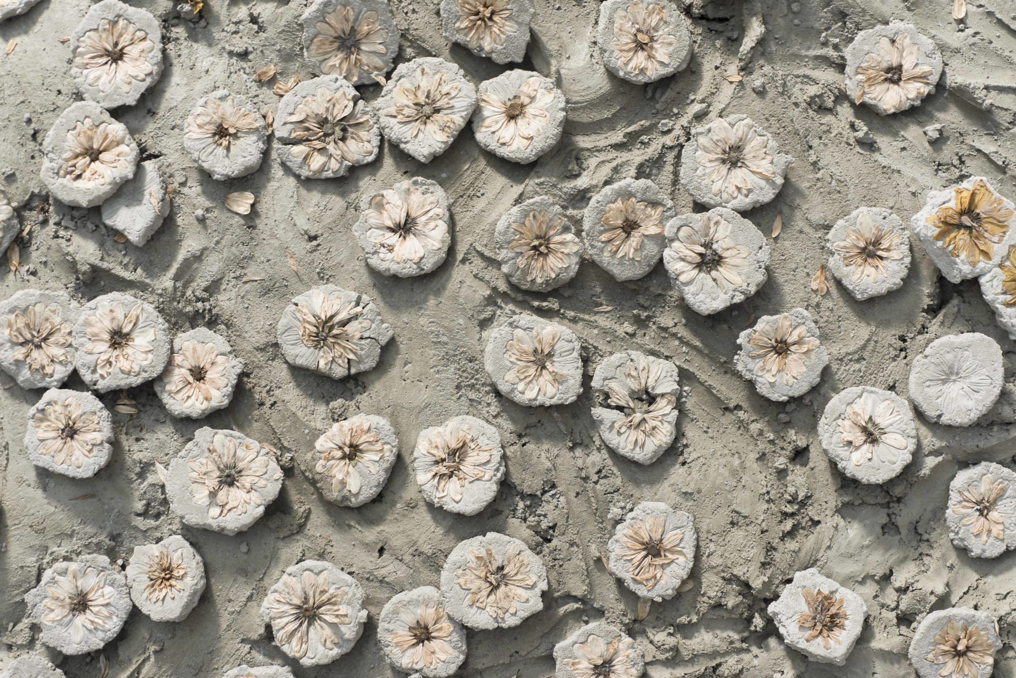 Constructing the House Anew