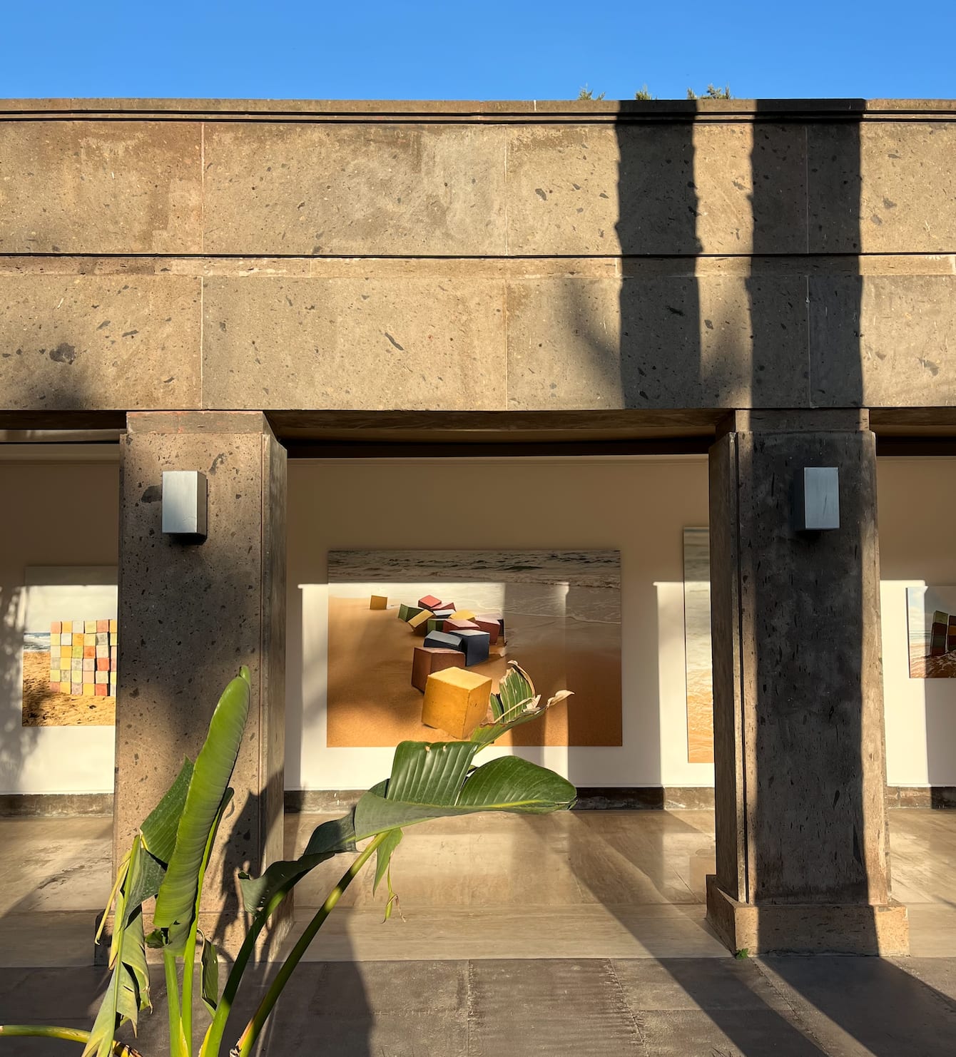 Color Blocks For Adults