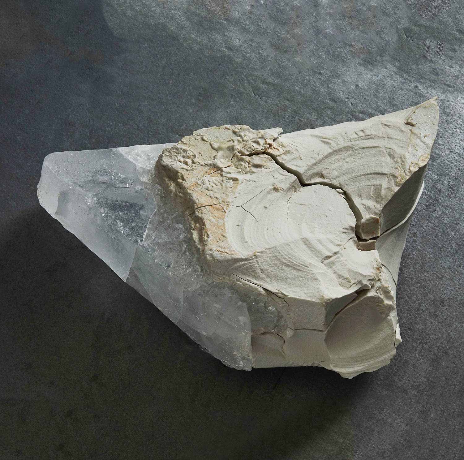 Ogawa Machiko (b. 1946) Crystal and Memories 2018 Porcelain and glass 5 1/2 x 16 x 11 1/2 inches Inv# 10853 SOLD