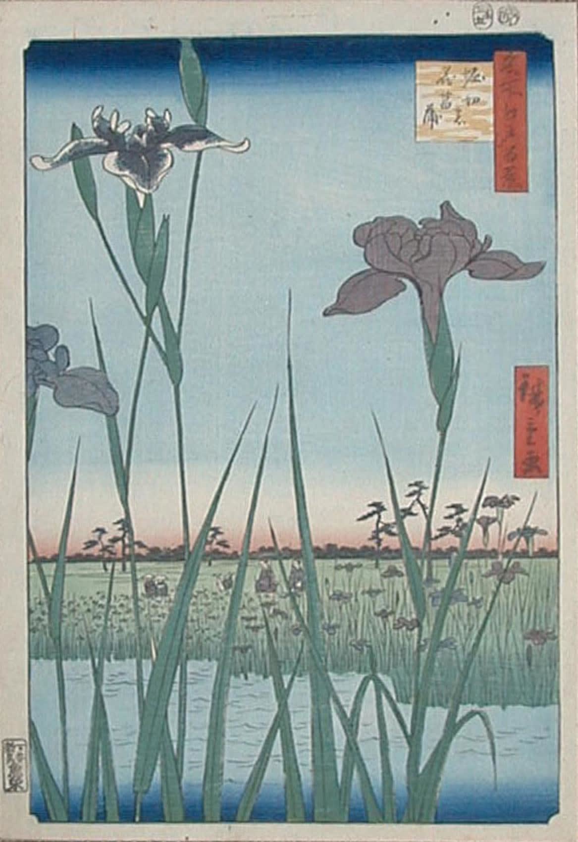 Utagawa Hiroshige (1797 - 1858) Horikiri Iris Garden from the series One Hundred Famous Places in Edo 1857 Oban tate-e print size: 13 x 8 5/8 inches; Inv#3709