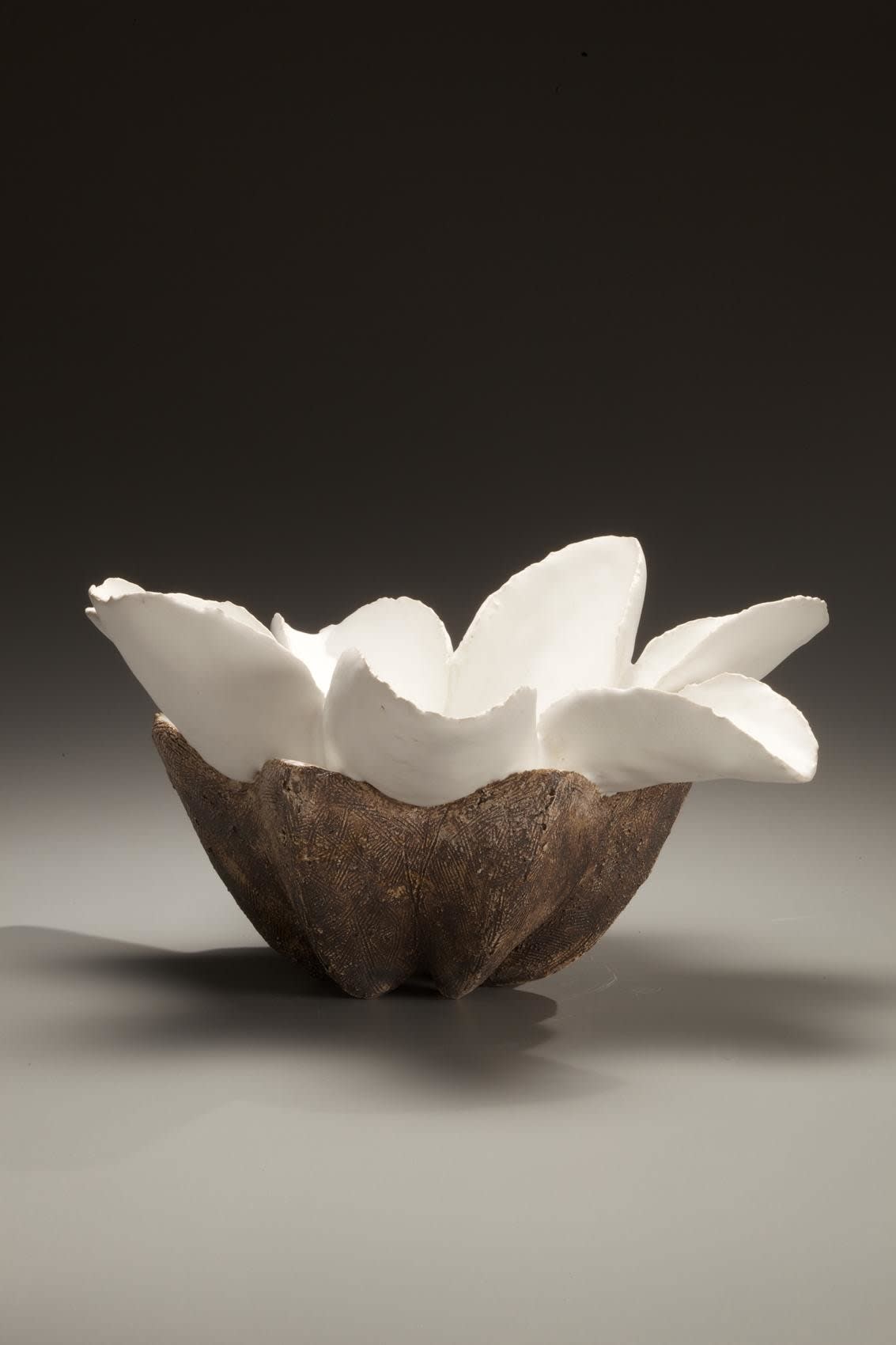Low flower-shaped vessel with six white petals and brown textured base, 2008 Stoneware with white and iron oxide glazes and clear glaze in interior base of flower 7 1/2 x 14 5/8 x 14 1/4 inches KS#4/Inv# 6518