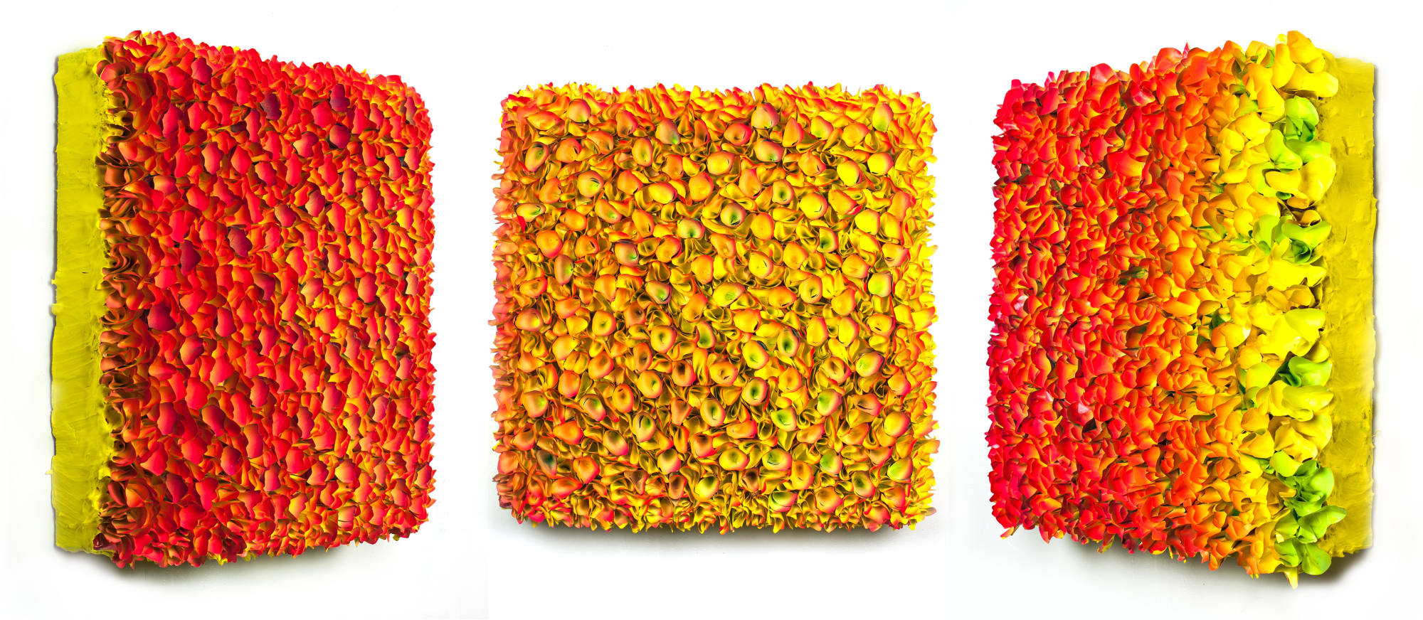 Flower Field, Red Yellow 60 x 60 cm Rice paper and acrylic on canvas