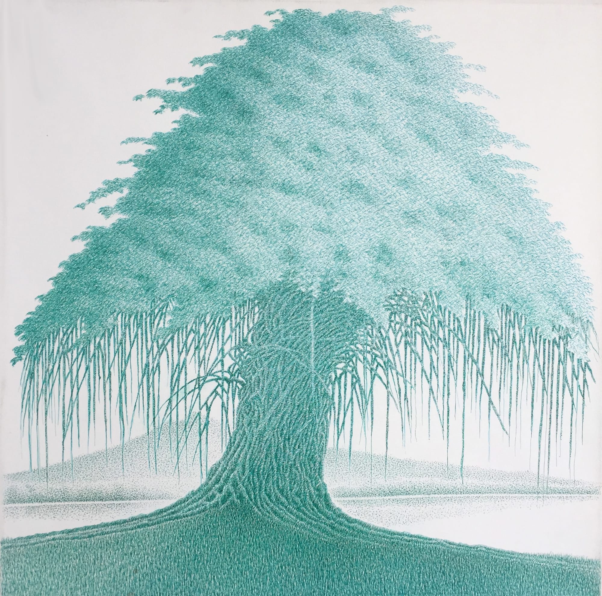 Banyan Tree V Pen and Ink on canvas 50 x 50 cm