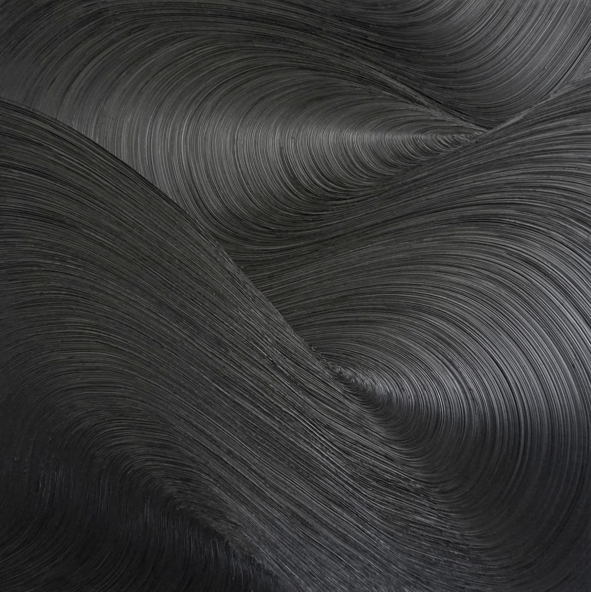 Convergent Evolution