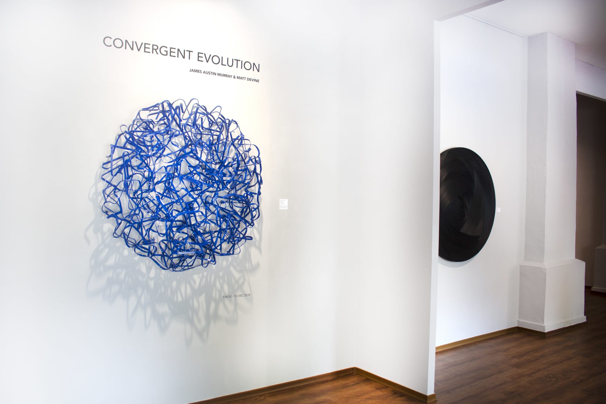 Convergent Evolution